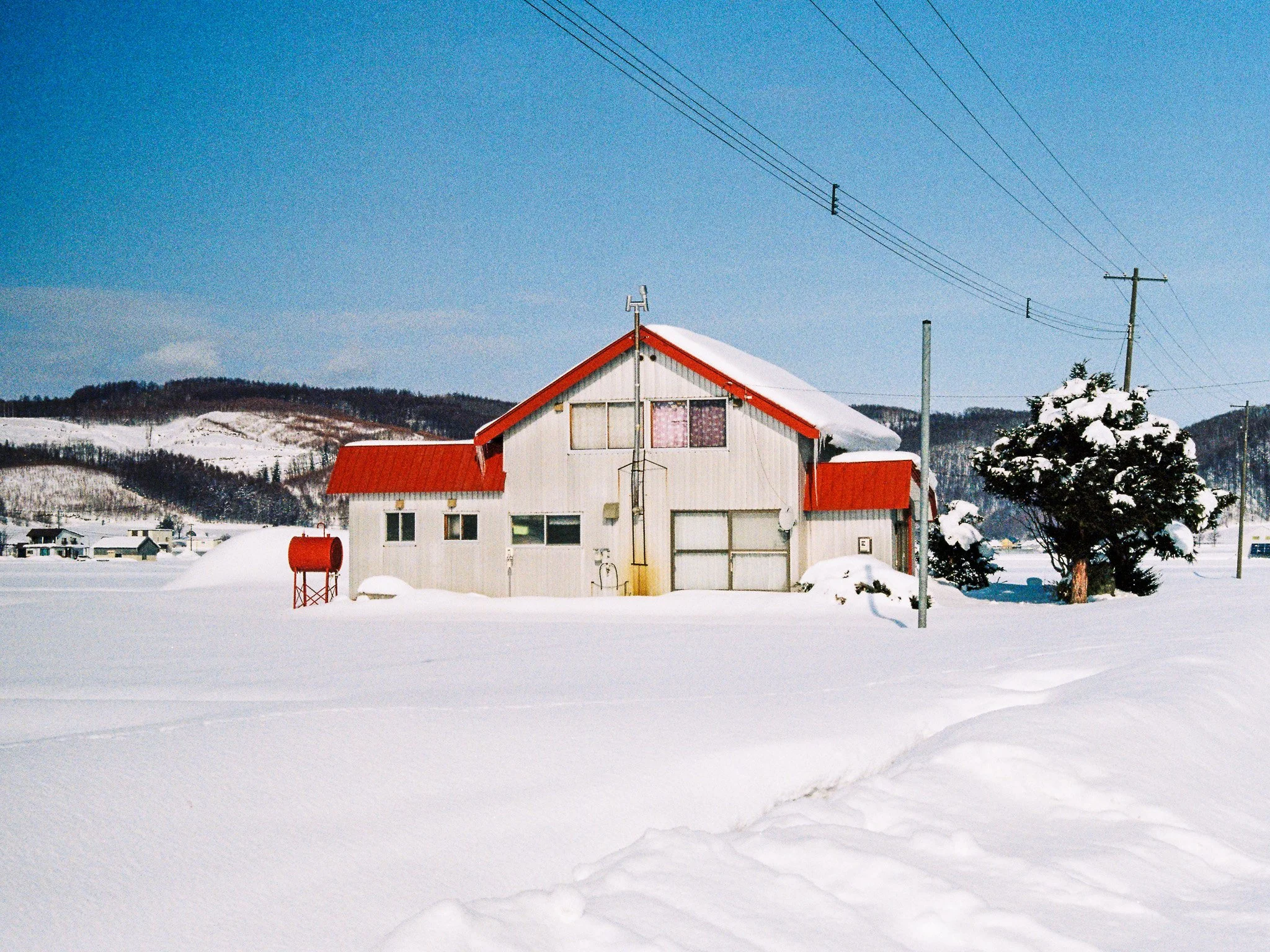 Canon AE-1 | Kodacolor 200