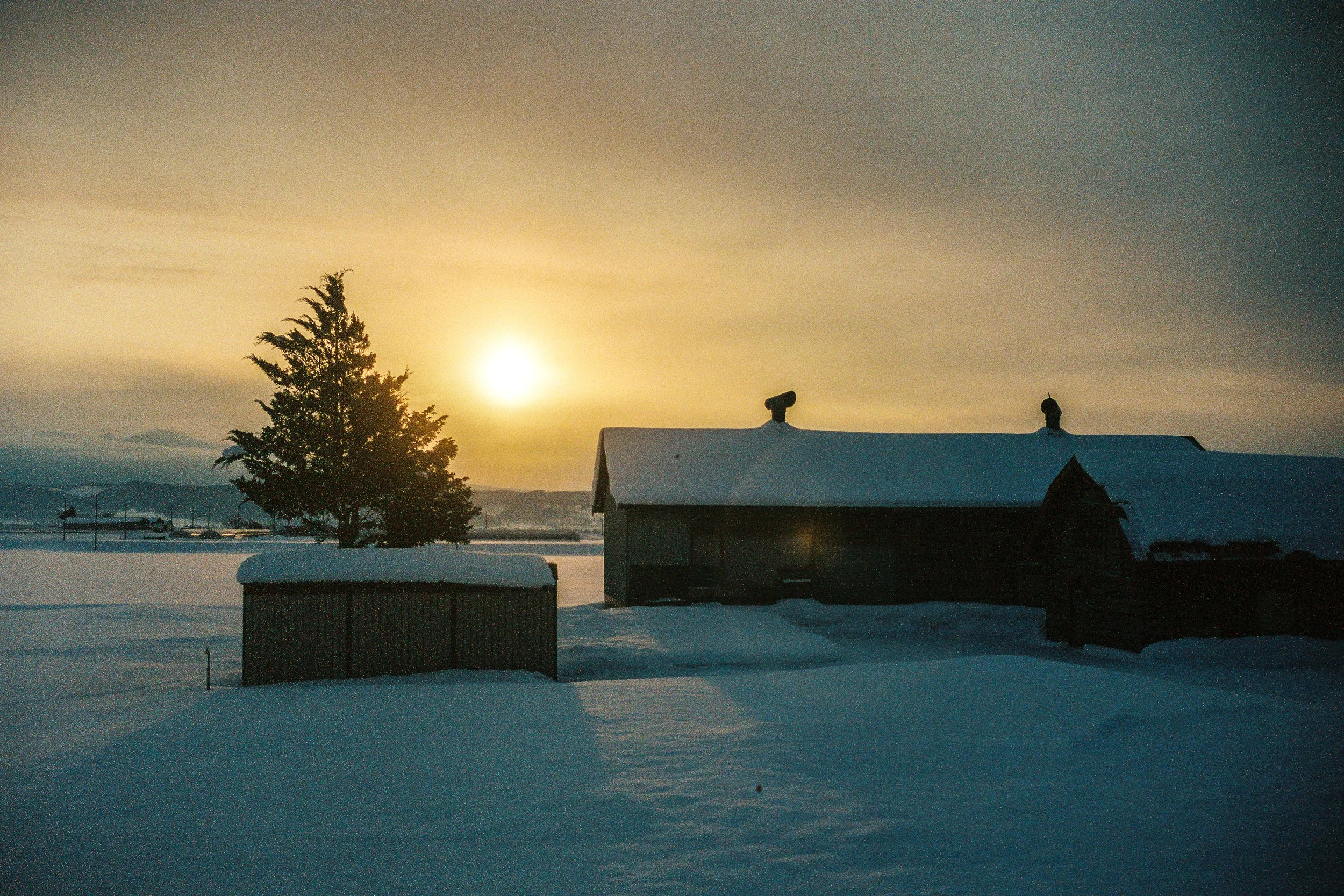 R1-03777-0015_fullres.jpg