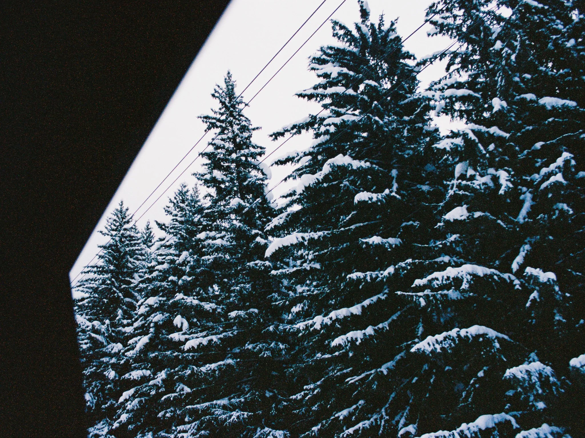 Canon AE-1 | Portra 400