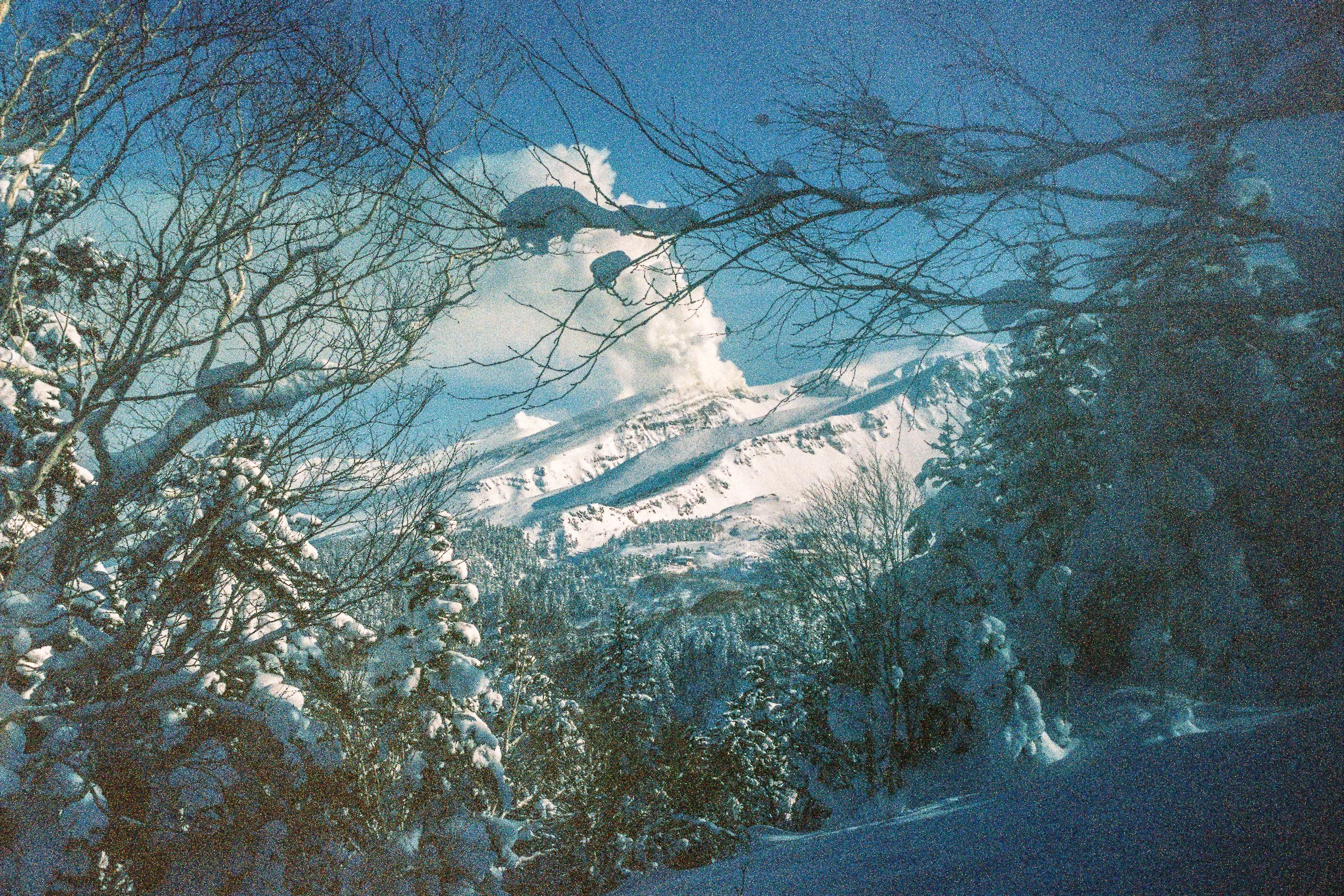 R1-03777-0031_fullres.jpg