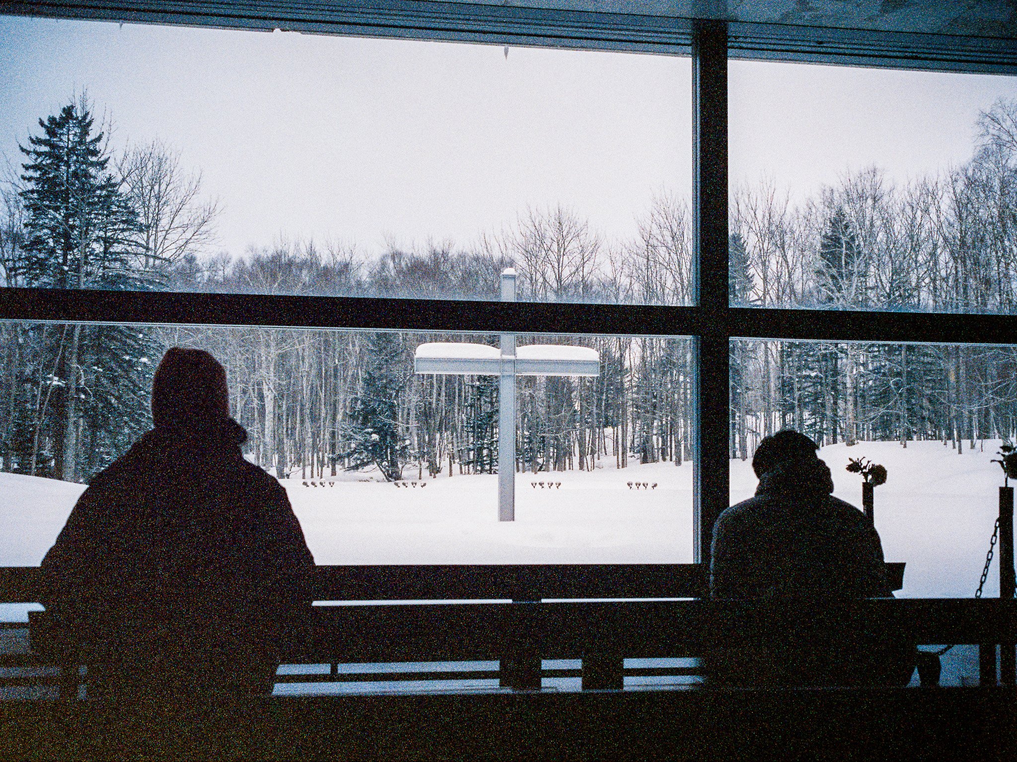 
Leica M6 | Cinestill 800T