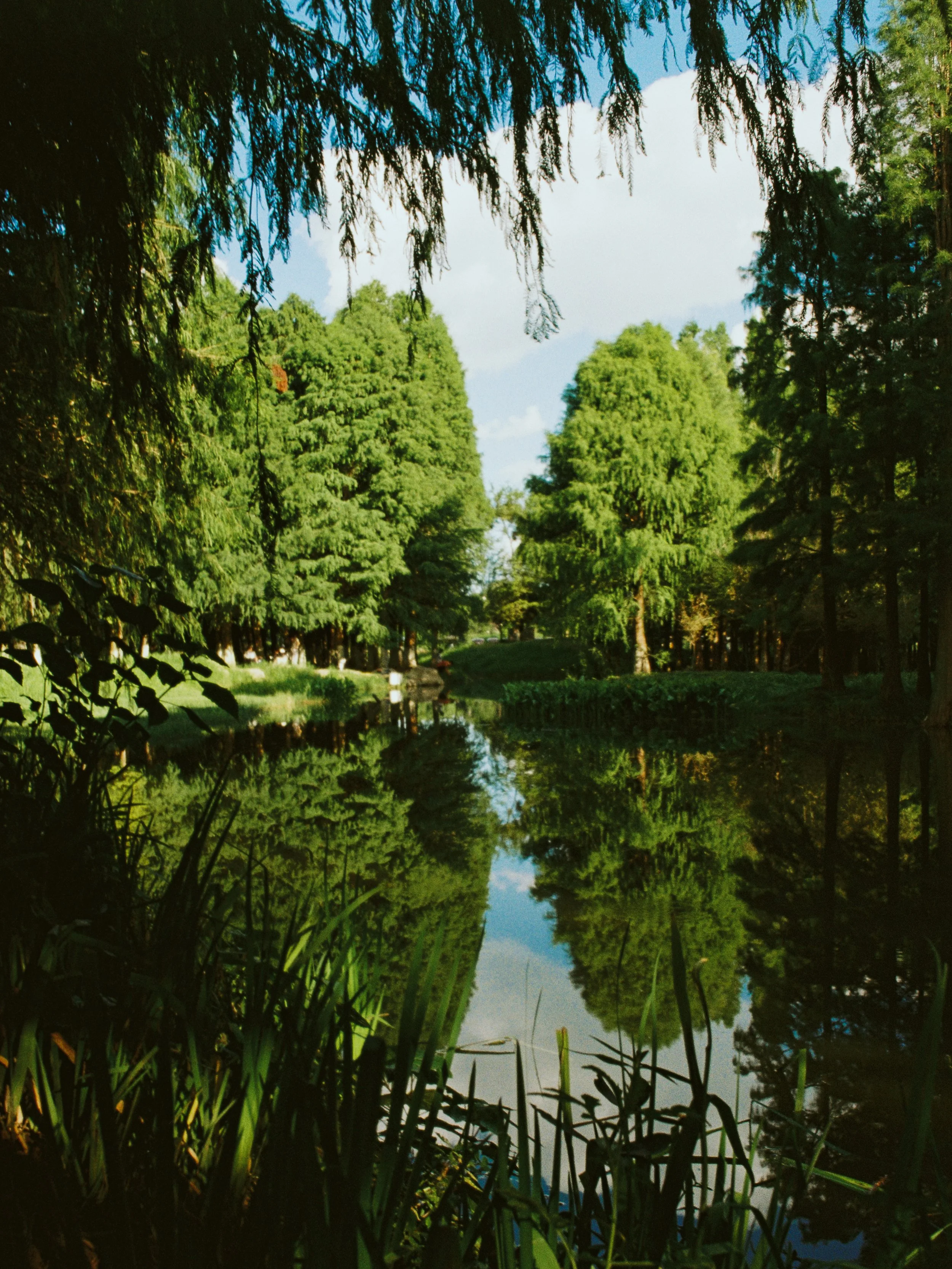 000063_fullres.jpg