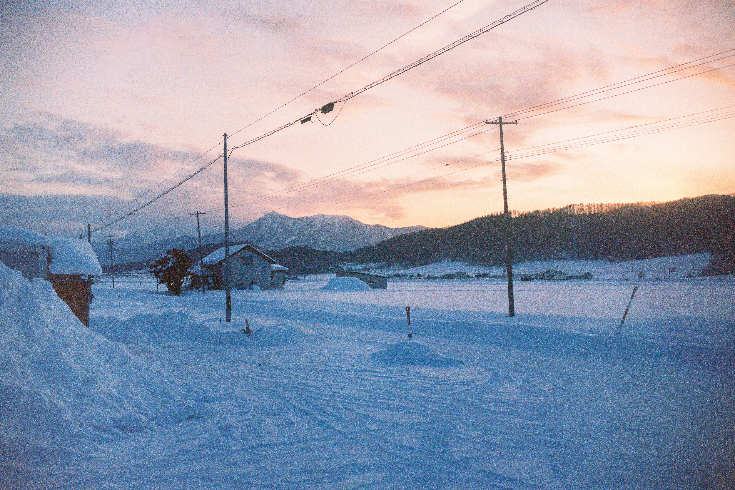 R1-03777-0037_fullres.jpg
