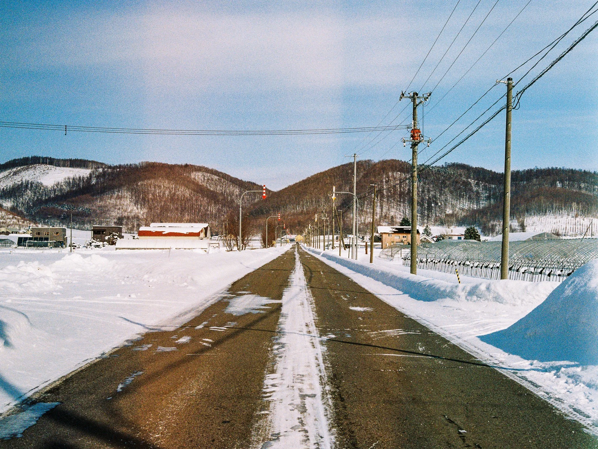 Canon AE-1 | Kodacolor 200