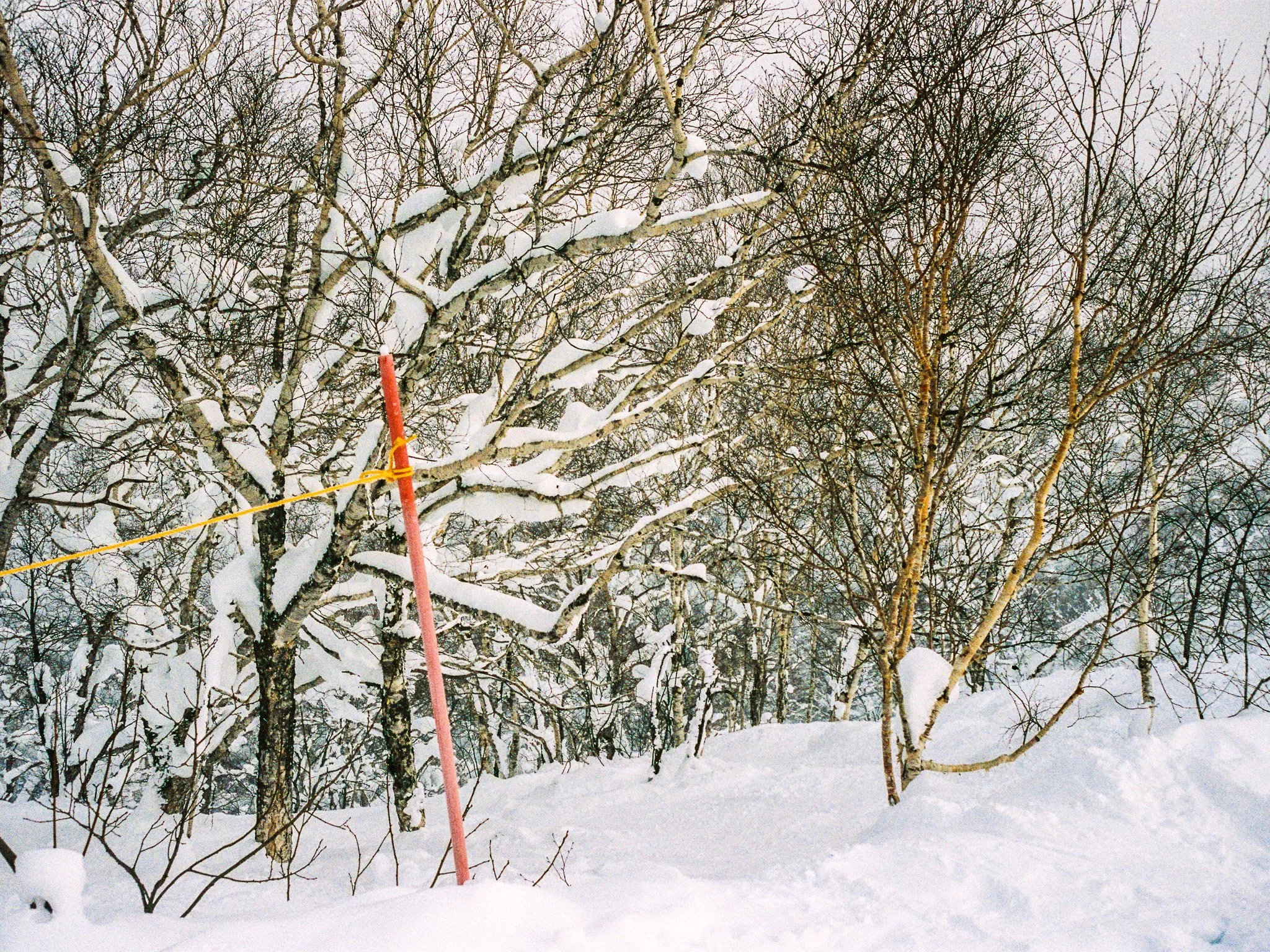 
Leica M6 | Portra 400
