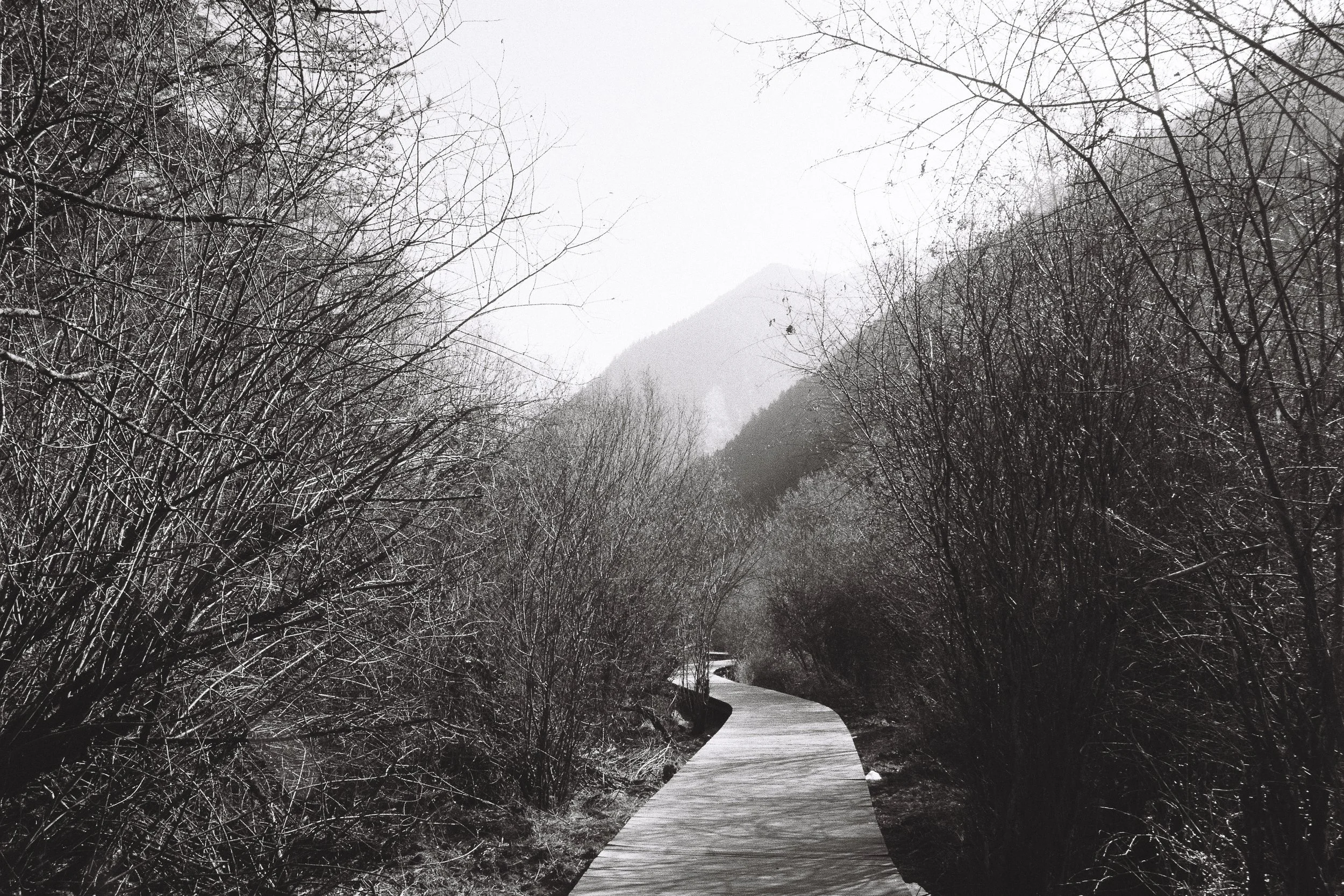R1-04337-0010_fullres.jpg