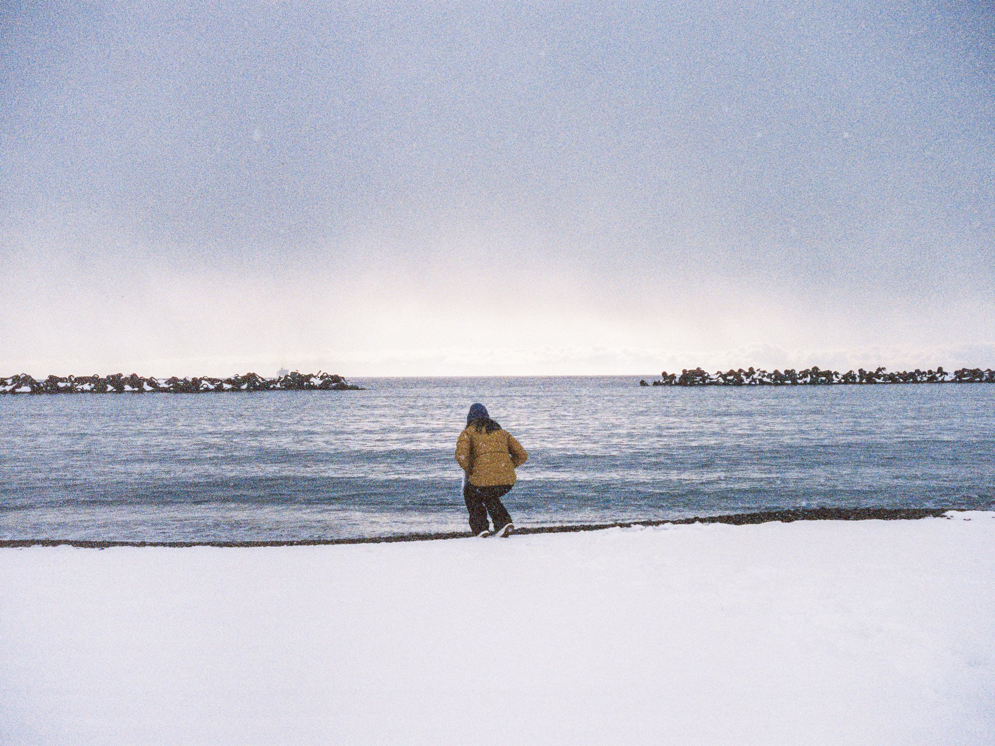 
Leica M6 | Cinestill 800T