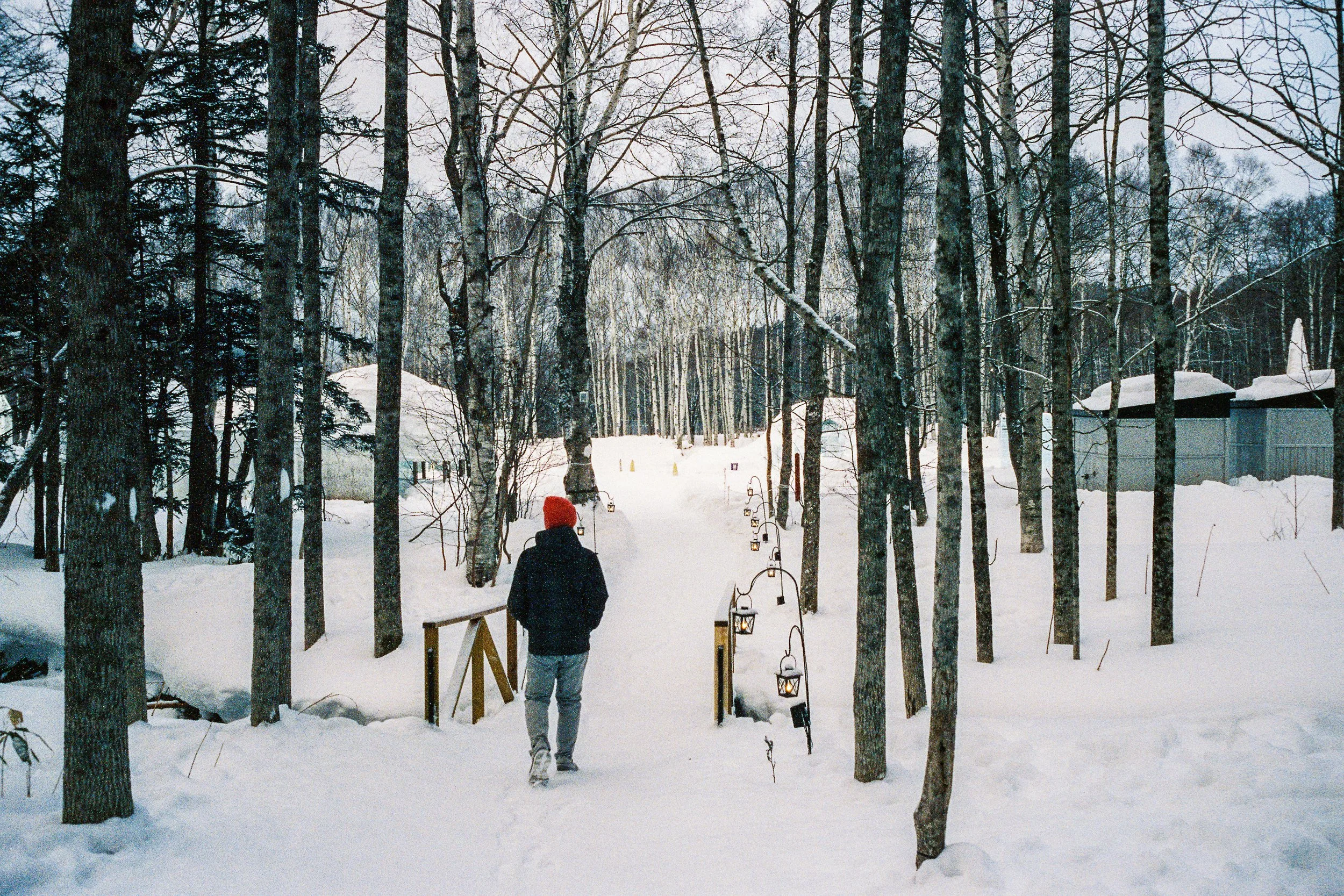 R1-03776-0005_fullres.jpg