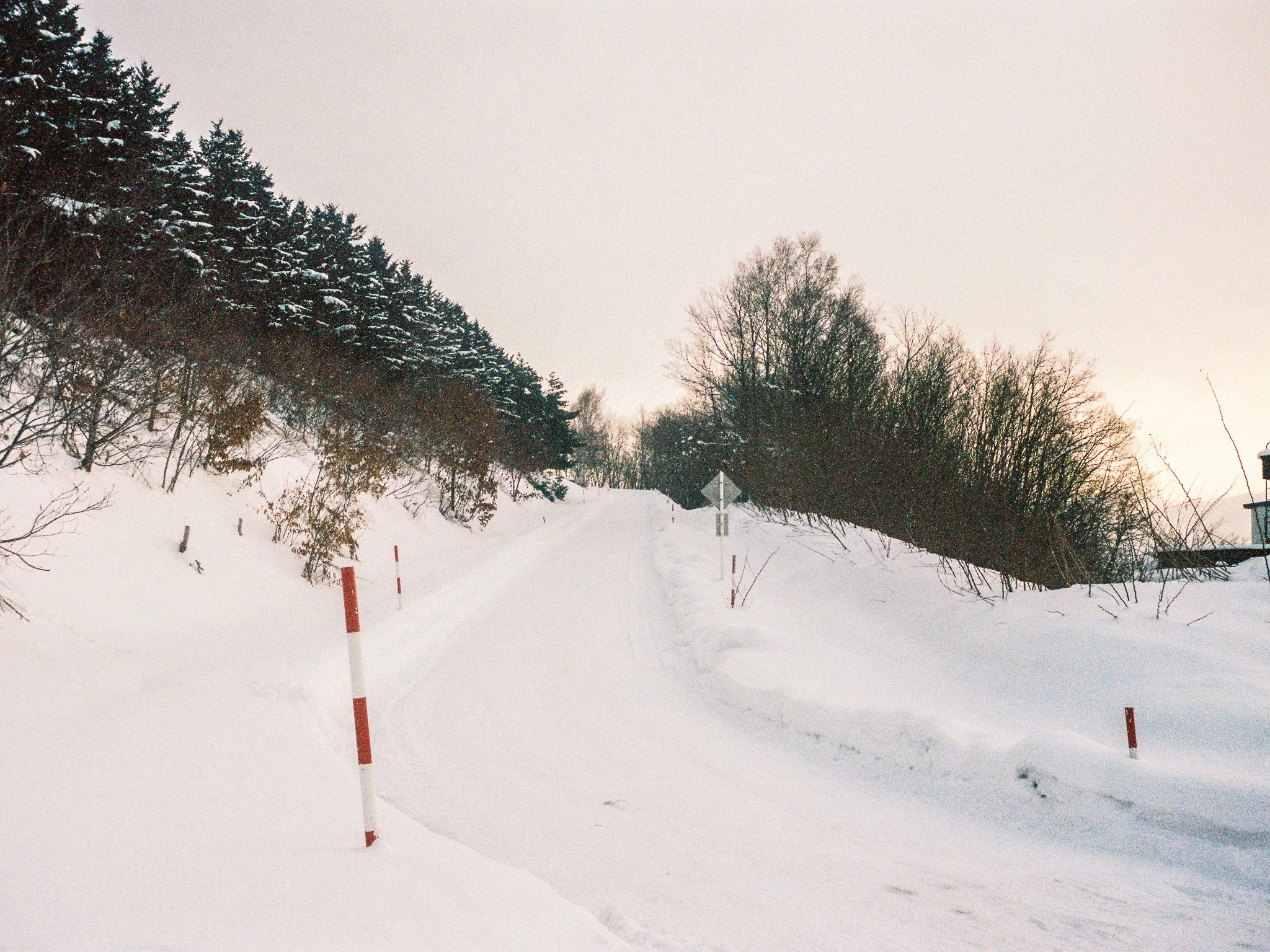 
Leica M6 | Portra 400