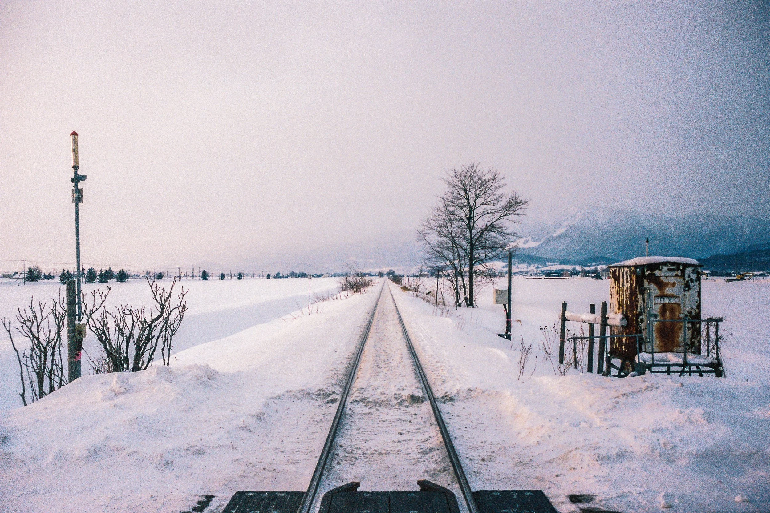 R1-03777-0020_fullres.jpg