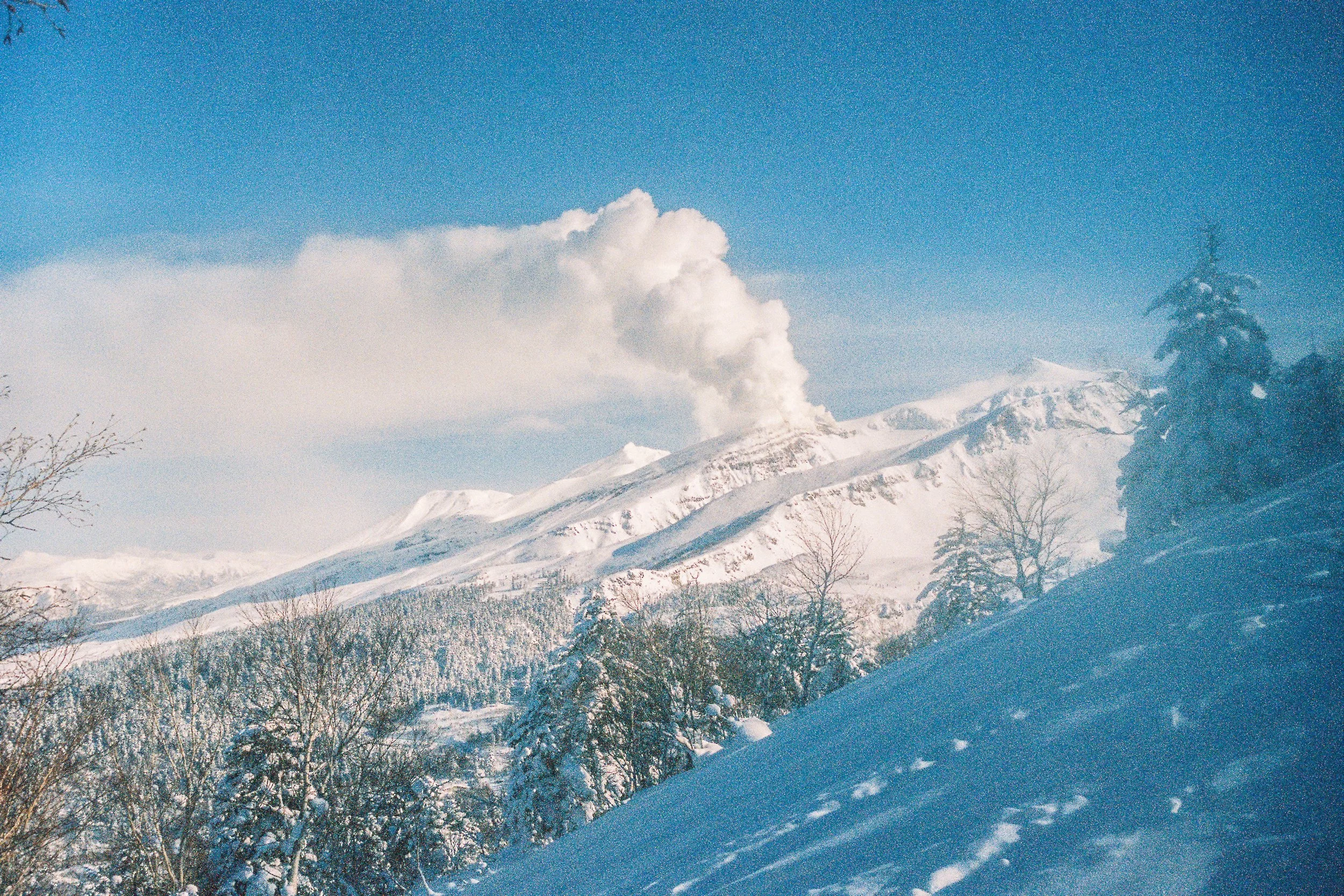 R1-03777-0032_fullres.jpg