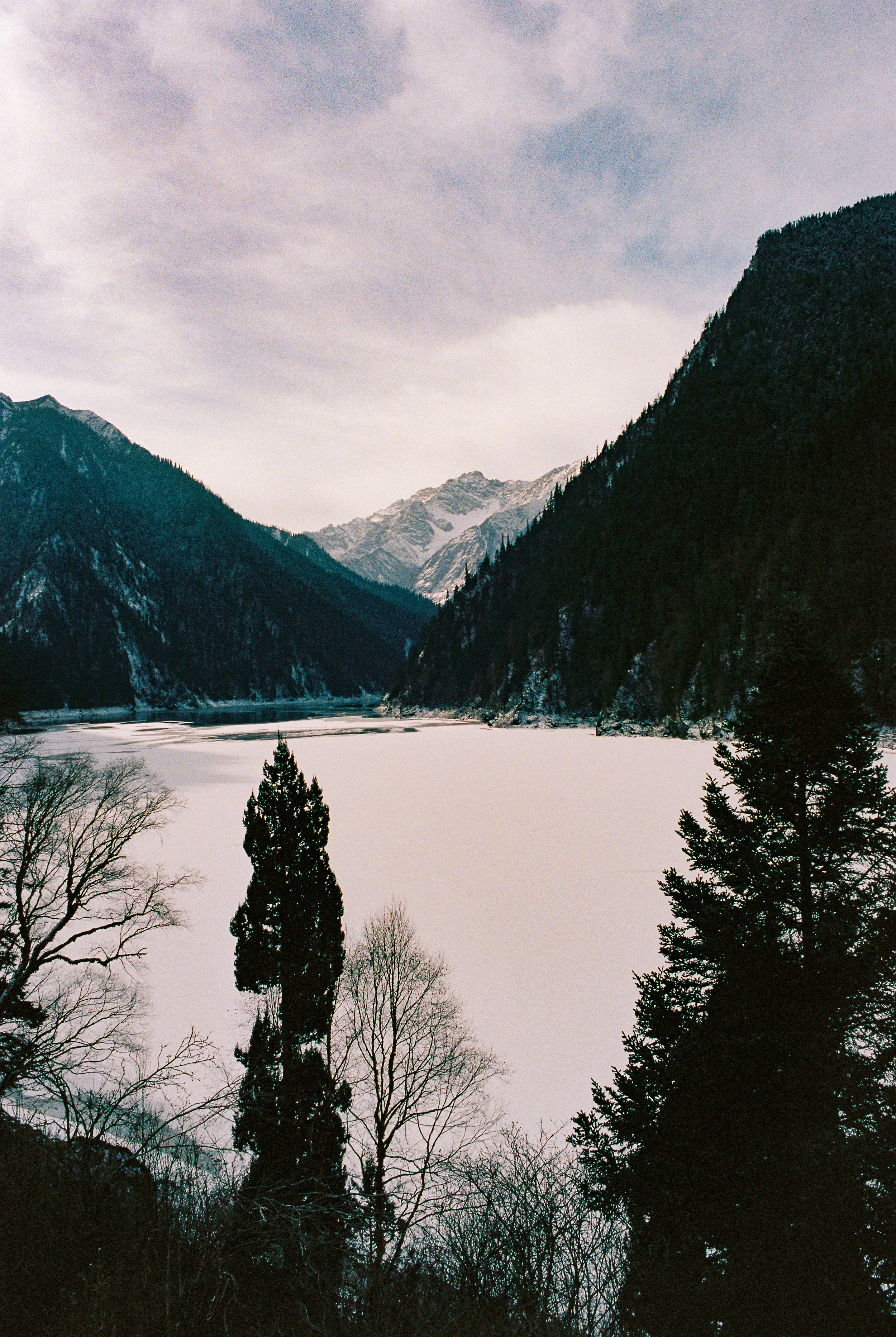 R1-04333-033A_fullres.jpg