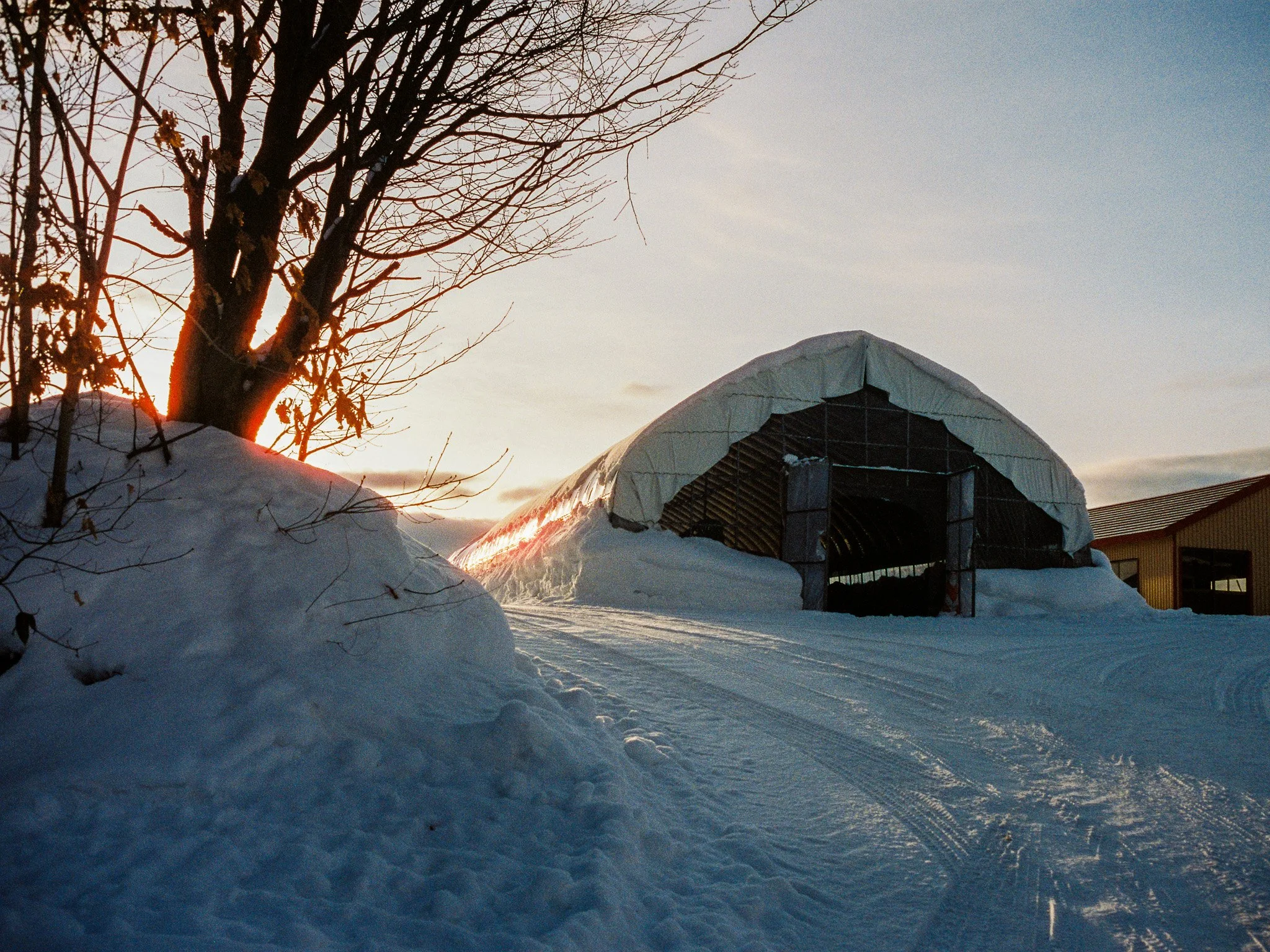 
Leica M6 | Cinestill 400D