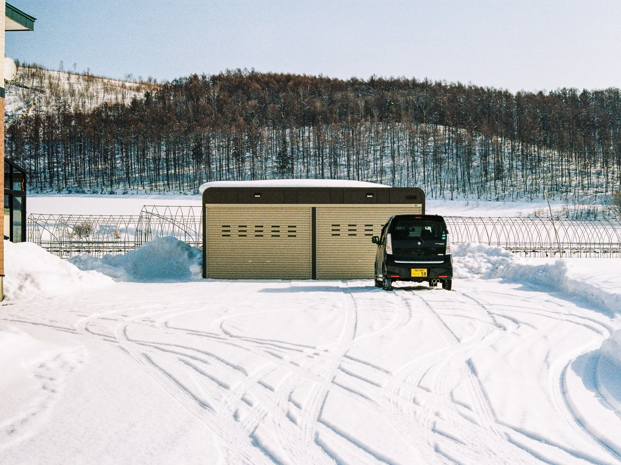 Canon AE-1 | Kodacolor 200