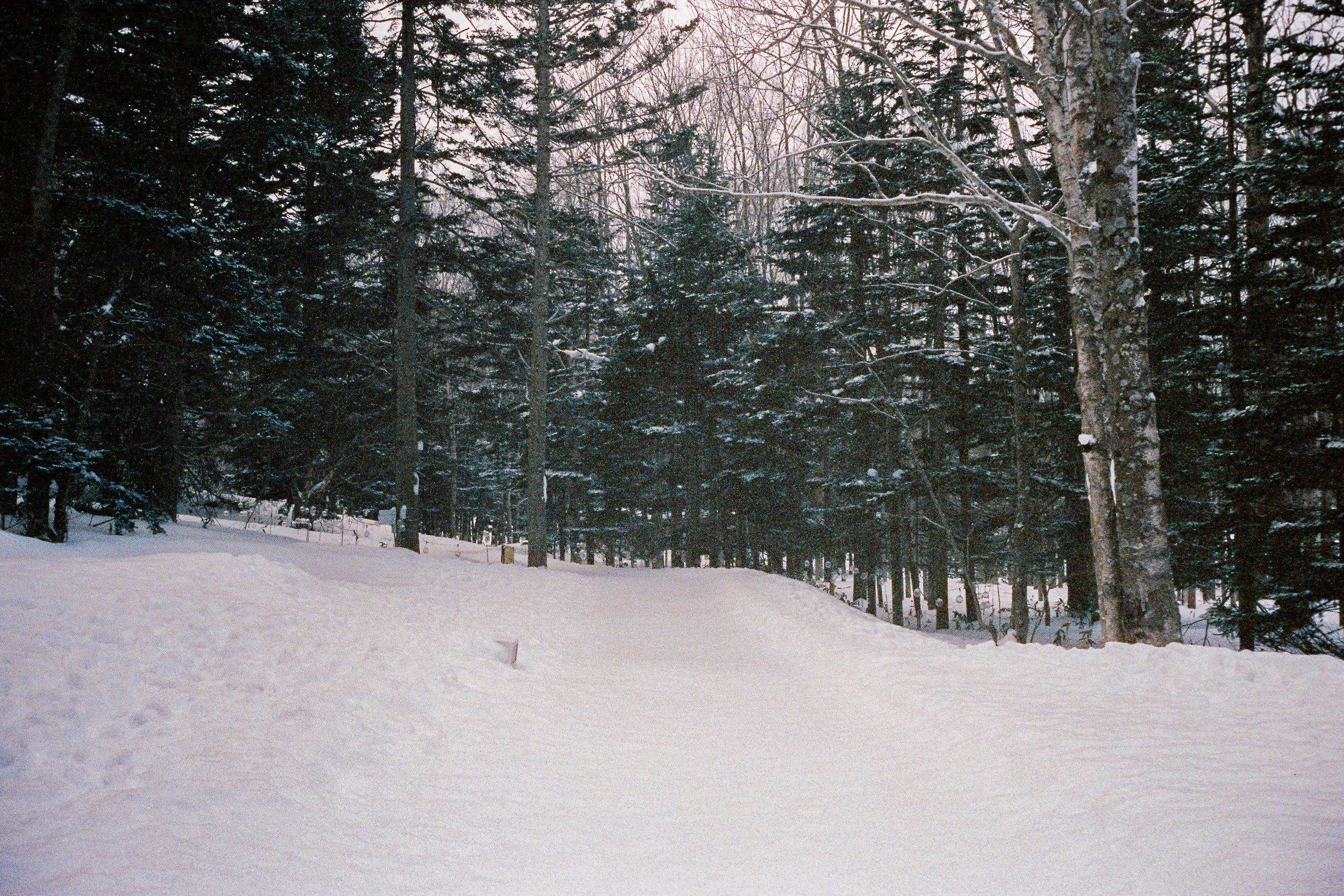 R1-03776-0004_fullres.jpg