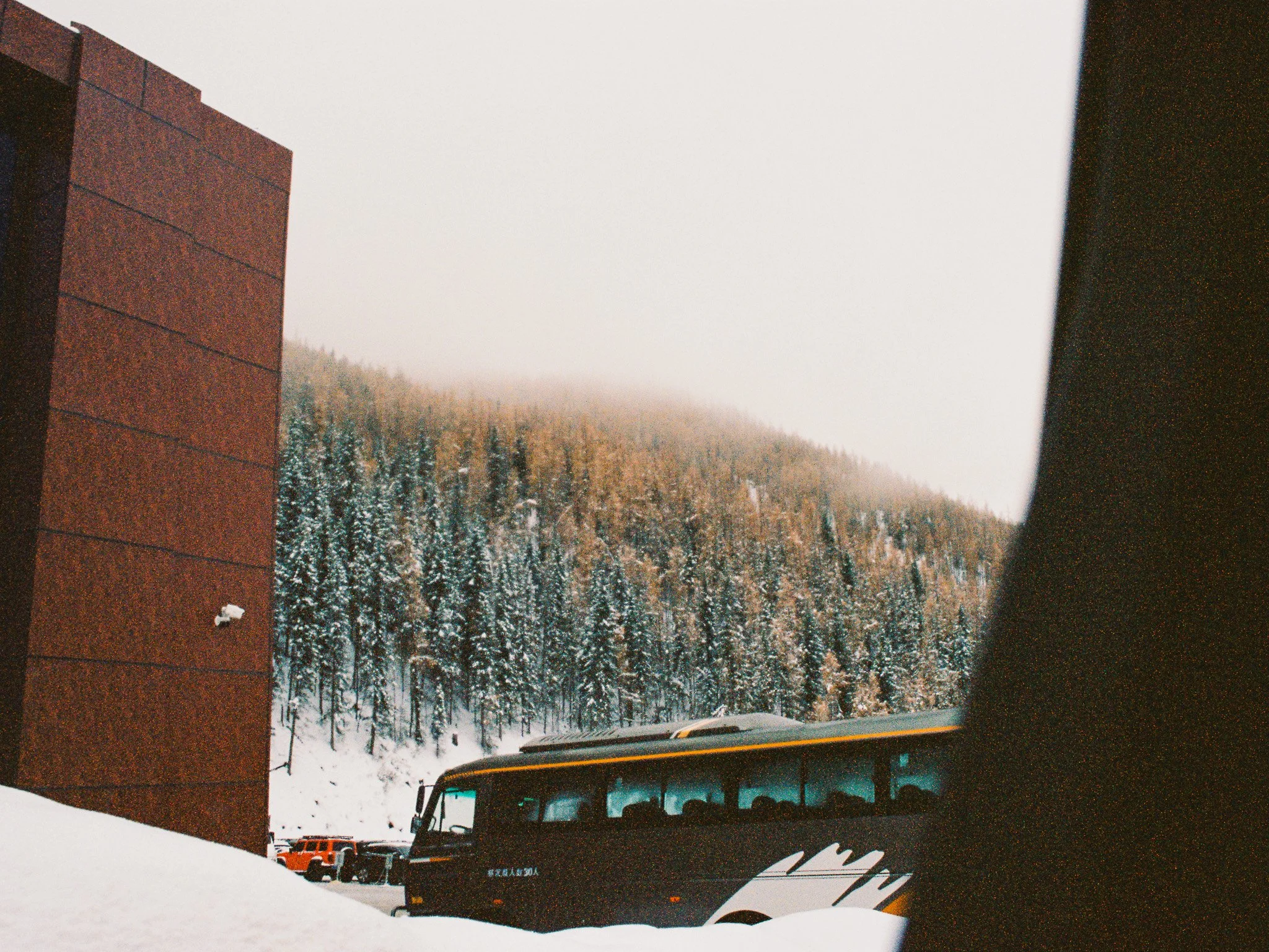 Canon AE-1 | Portra 400