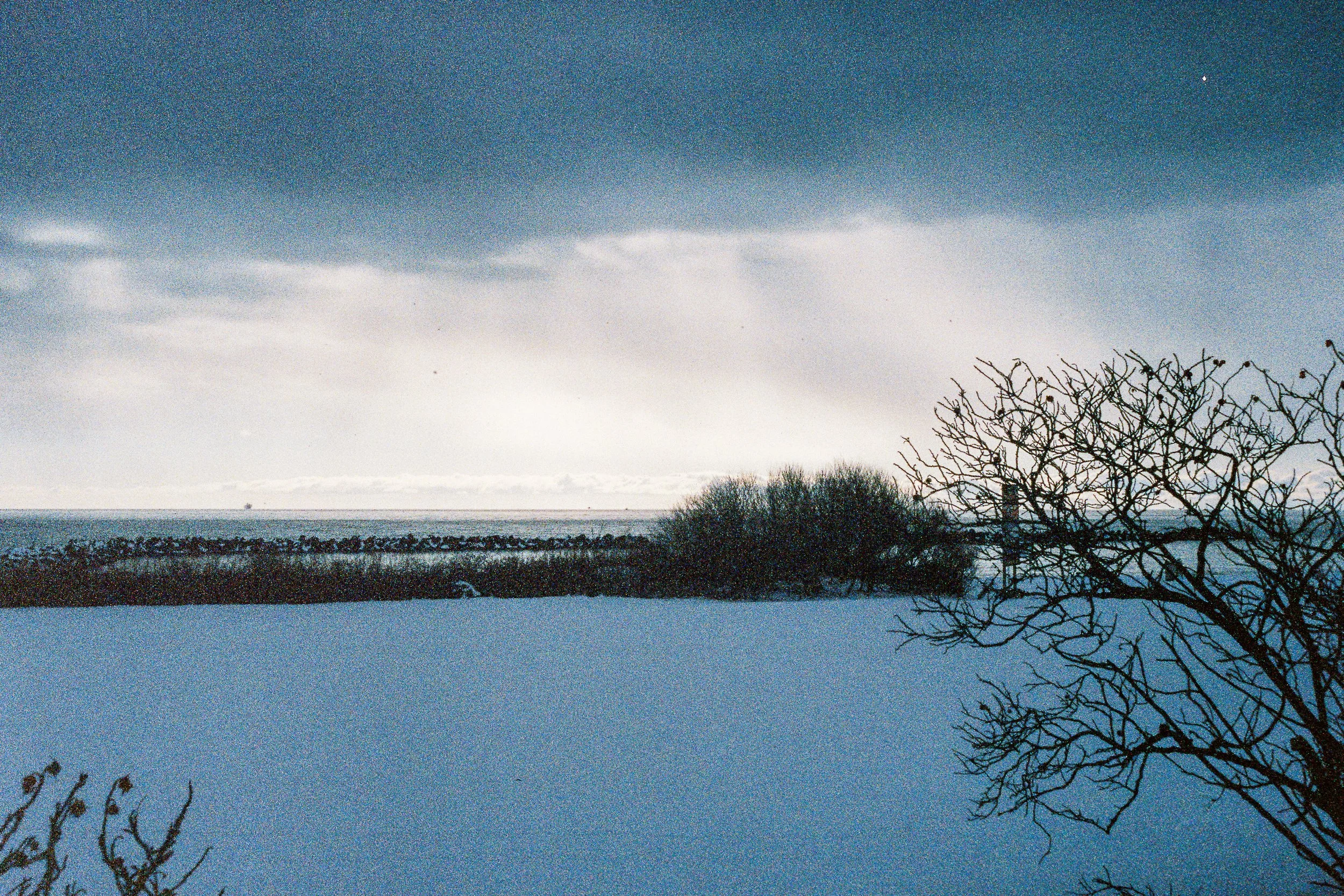 R1-03776-0020_fullres.jpg