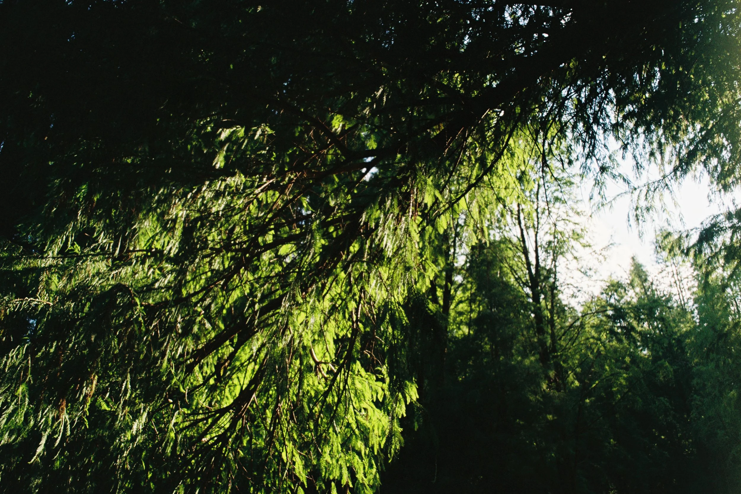 000064_fullres-2.jpg