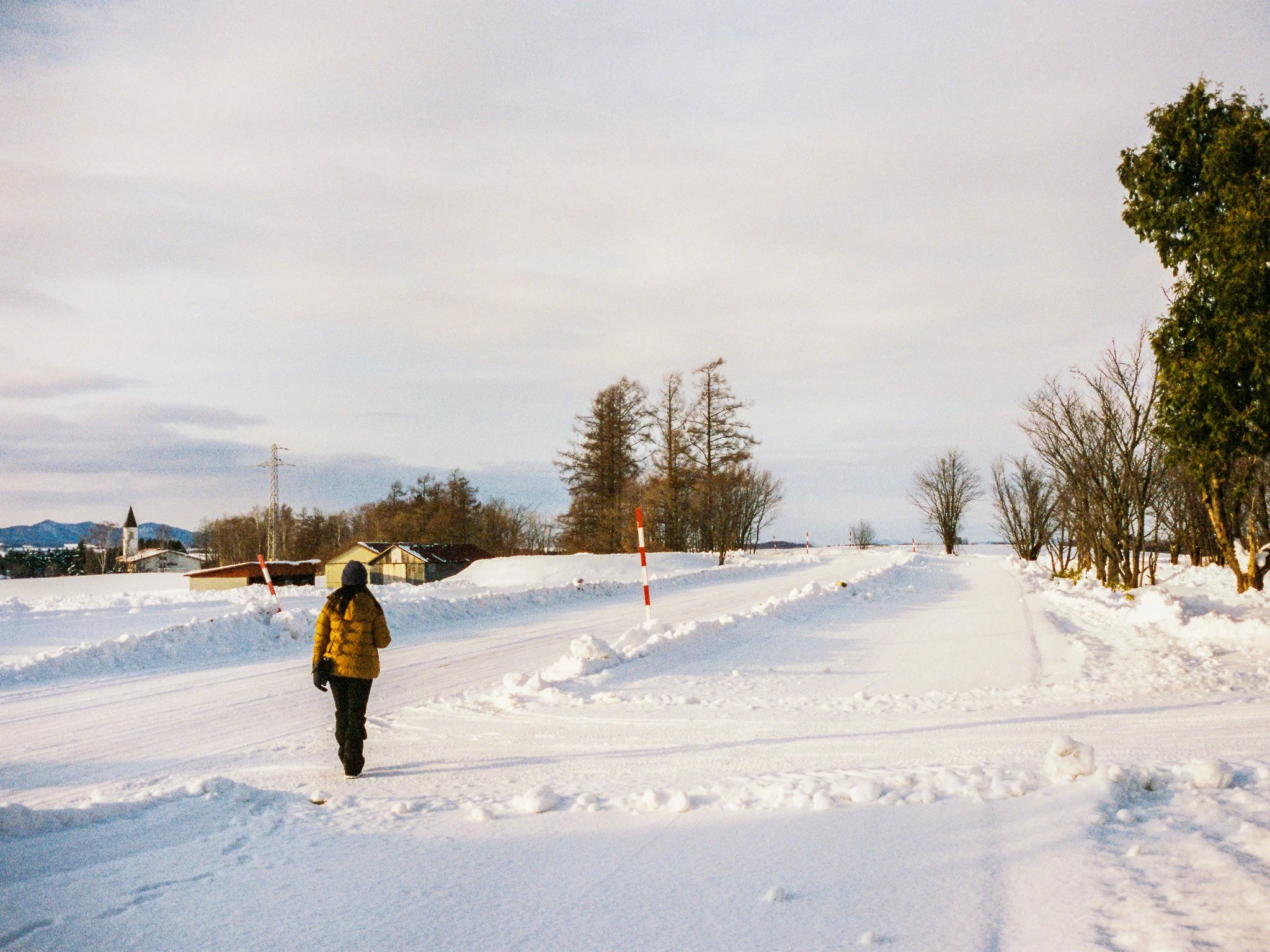 
Leica M6 | Cinestill 400D
