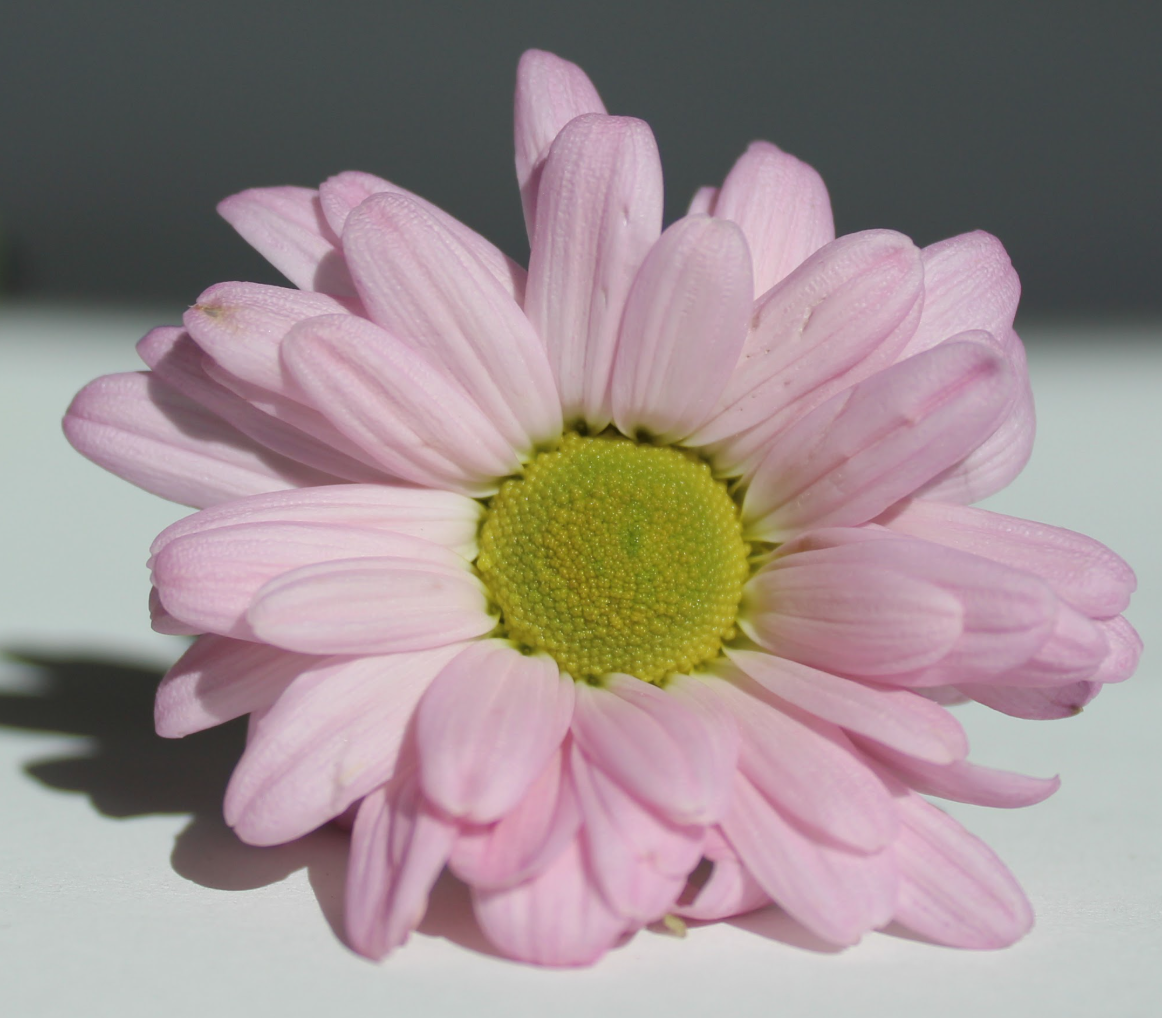 Screenshot 2026-03-02 12.42.51.png