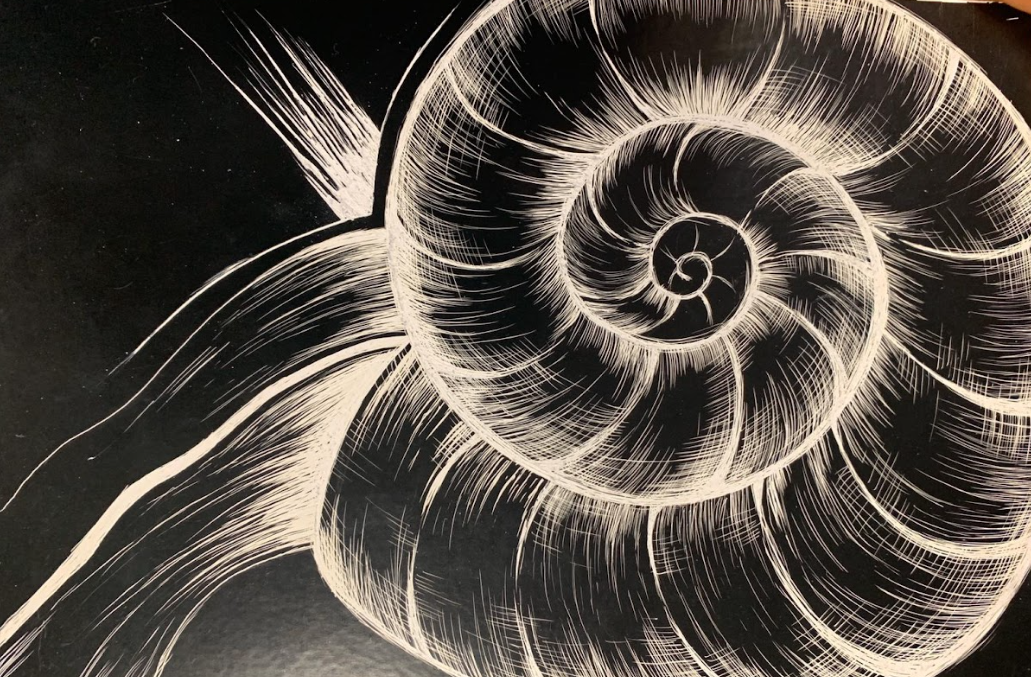 Screenshot 2026-03-03 09.59.09.png