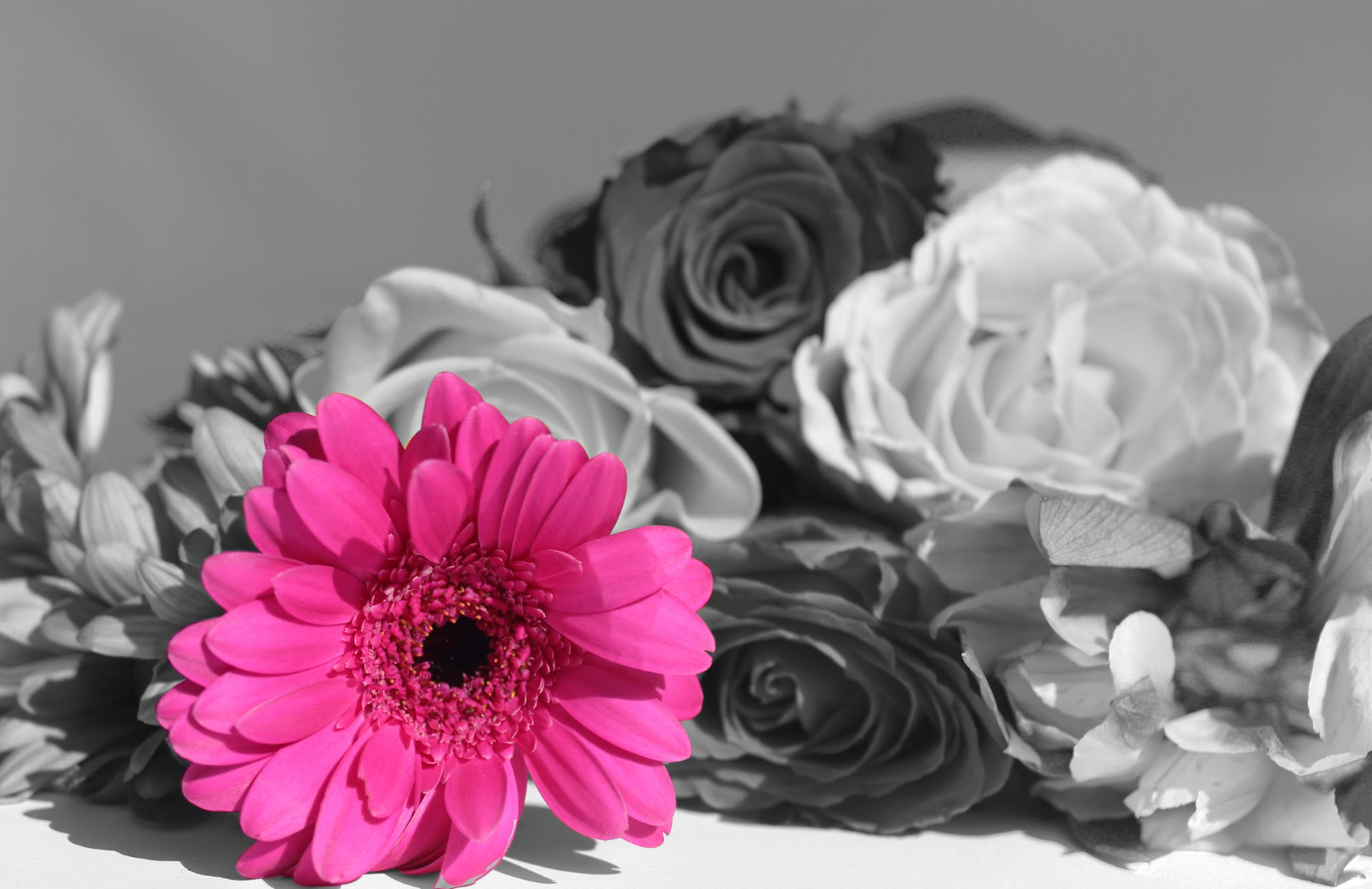 Screenshot 2026-03-02 12.43.14.png