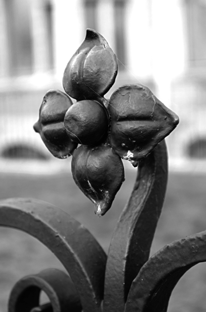 Screenshot 2026-03-02 12.44.43.png