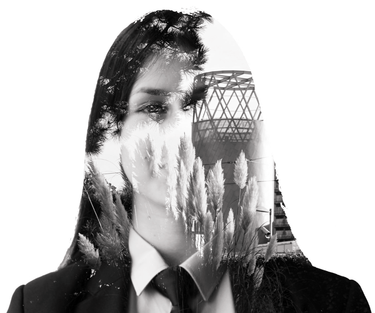 Screenshot 2026-03-02 12.49.07.png