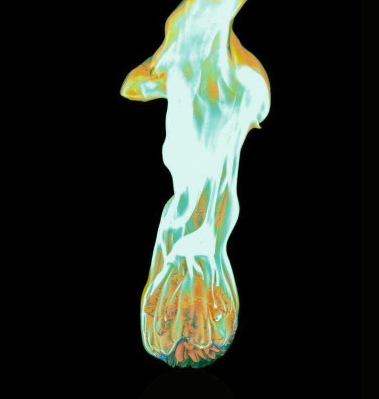 Screenshot 2026-03-02 12.39.06.png