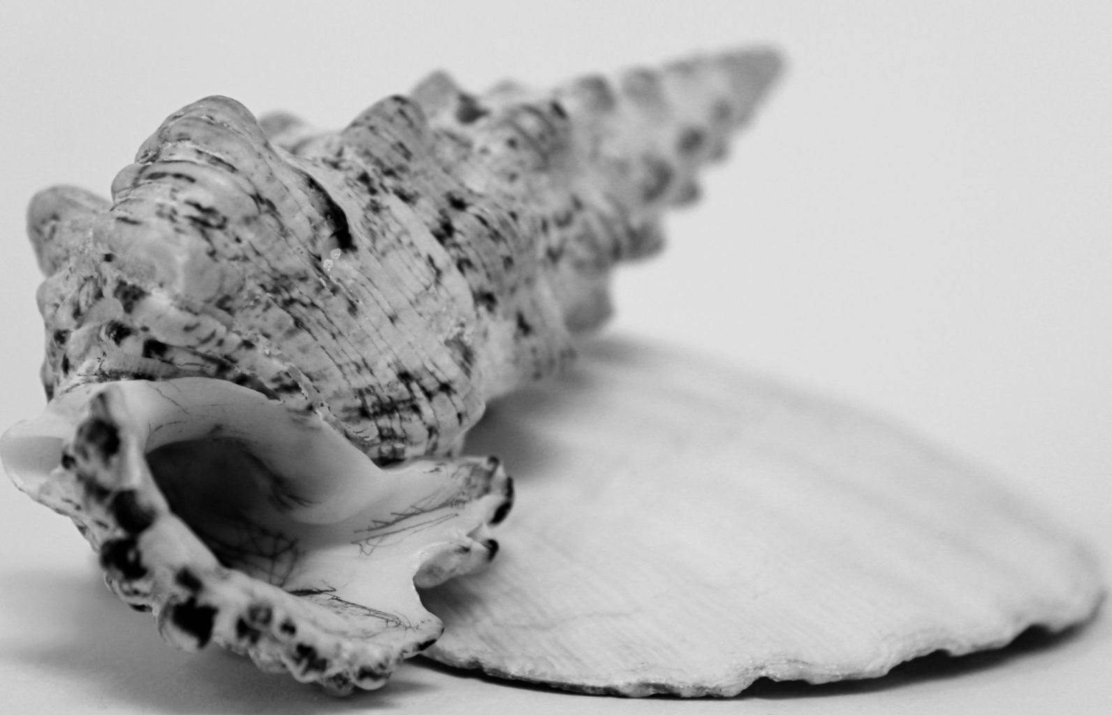 Screenshot 2026-03-02 12.40.55.png