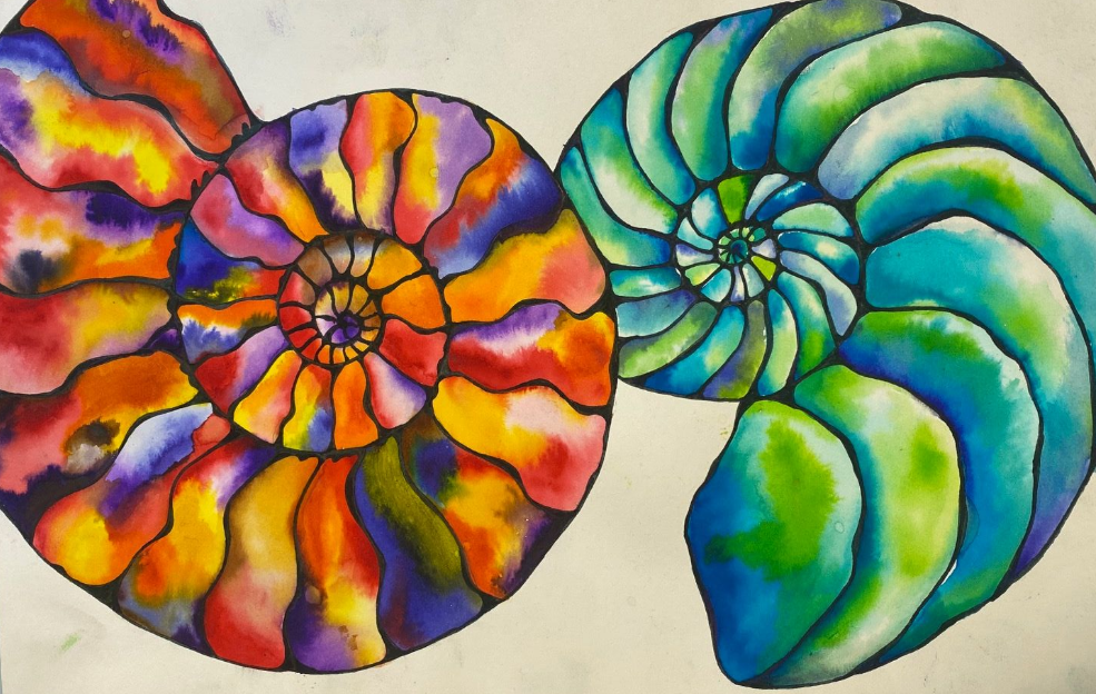 Screenshot 2026-03-03 2.41.32 PM.png