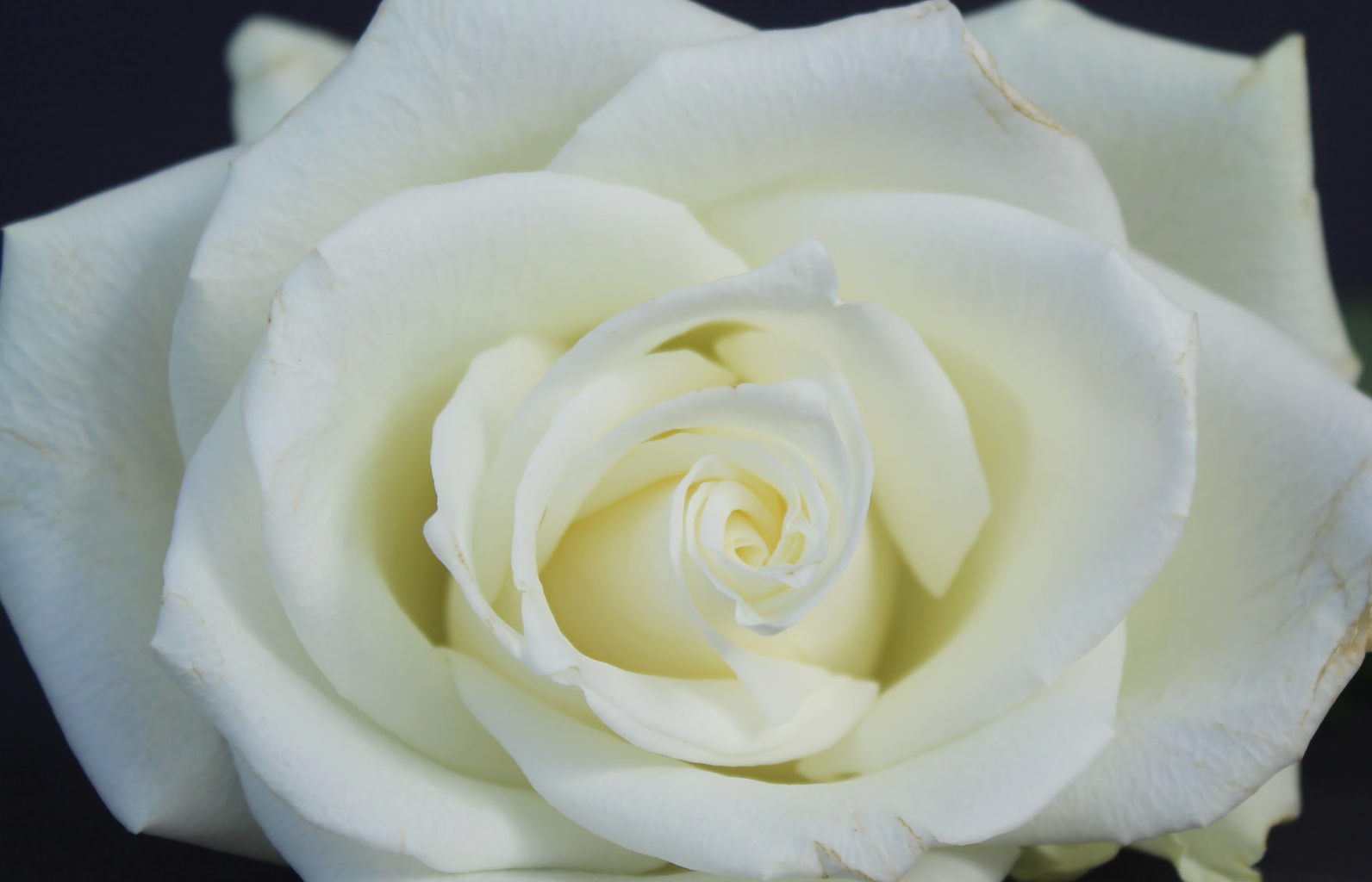 Screenshot 2026-03-02 12.42.38.png