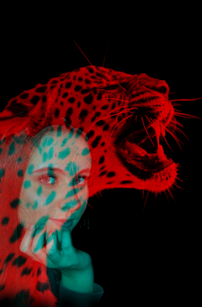 Screenshot 2026-03-24 14.49.11.png