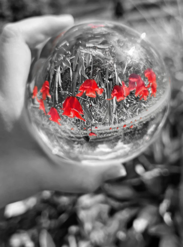 Screenshot 2026-03-02 13.47.10.png