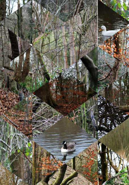 Screenshot 2026-03-03 09.02.22.png