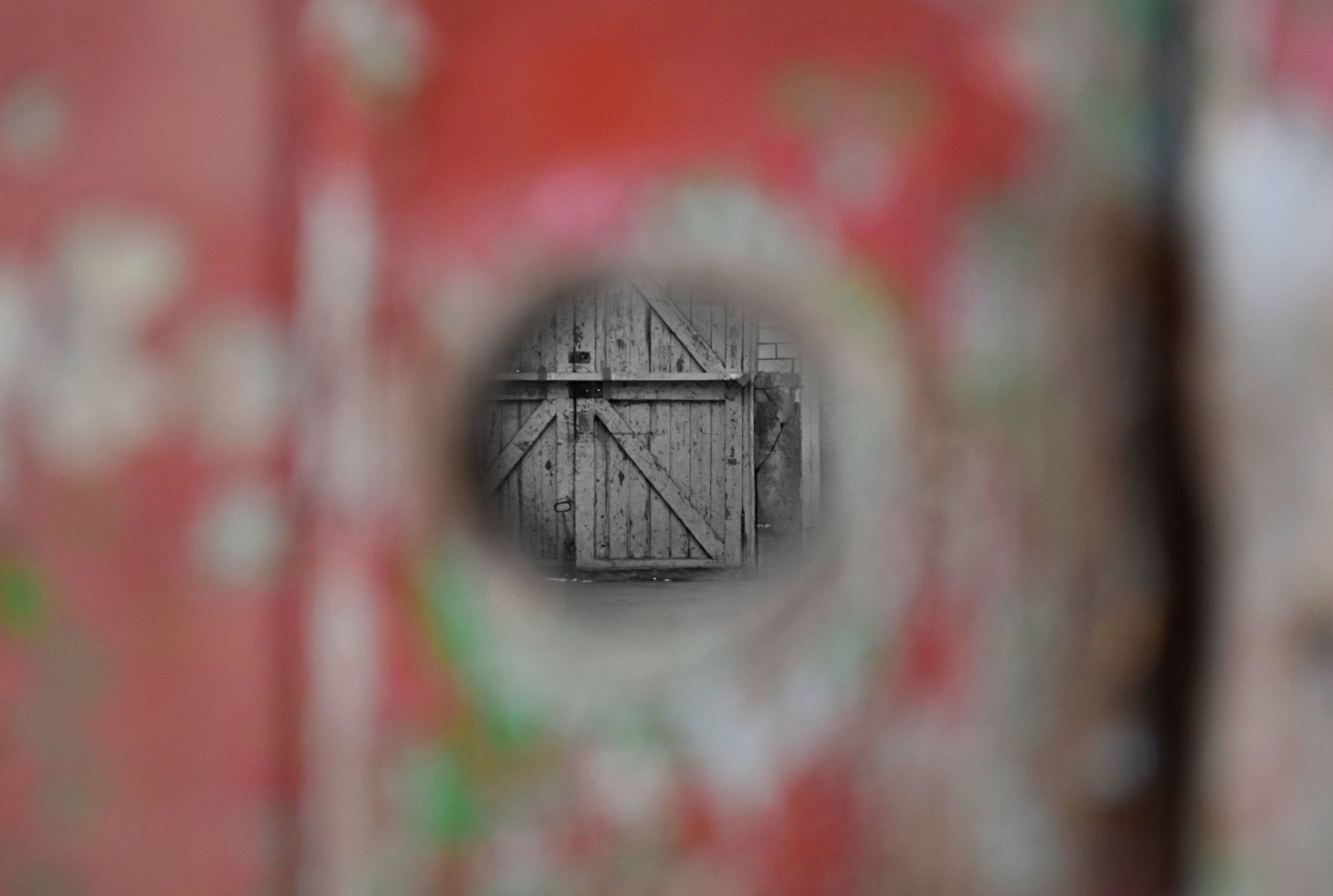 Screenshot 2026-03-02 12.45.00.png