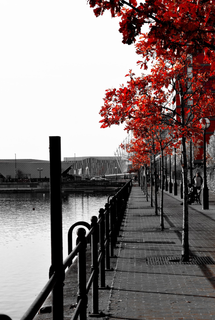 Screenshot 2026-03-02 12.45.37.png