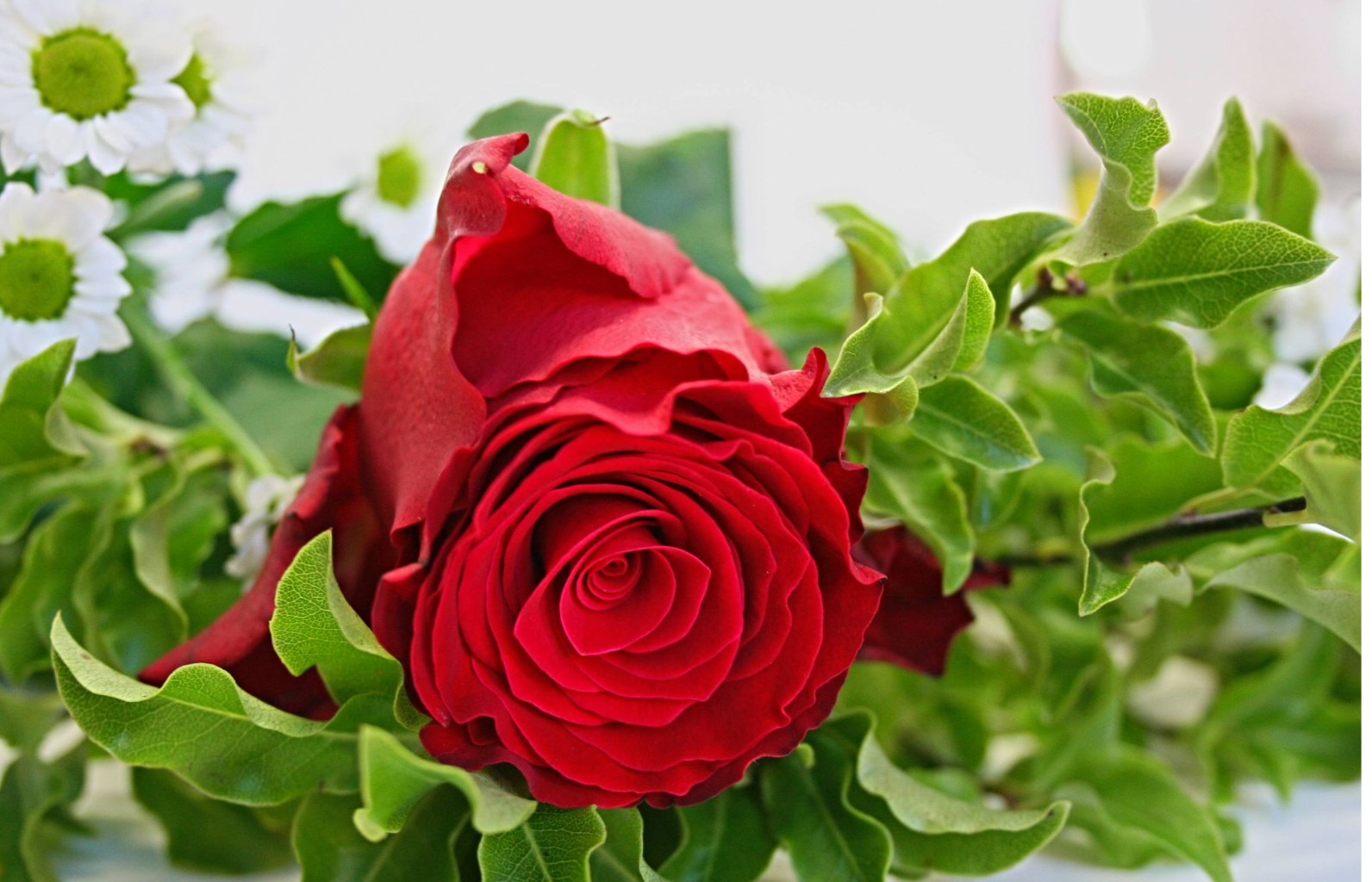 Screenshot 2026-03-02 12.42.31.png