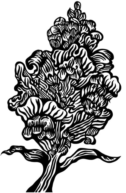 Screenshot 2026-03-05 12.32.04.png