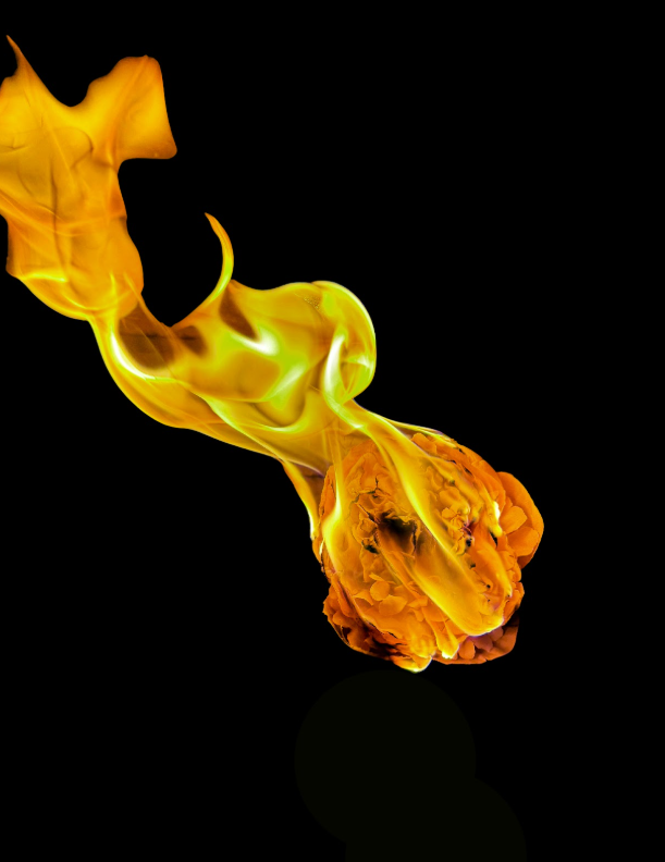 Screenshot 2026-03-02 12.39.21.png