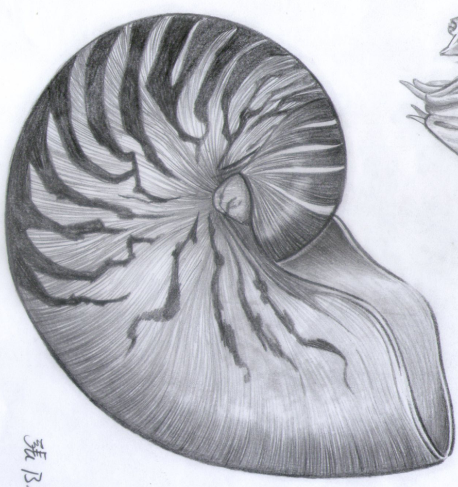 Screenshot 2026-03-03 2.41.45 PM.png