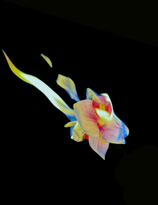 Screenshot 2026-03-02 12.39.16.png