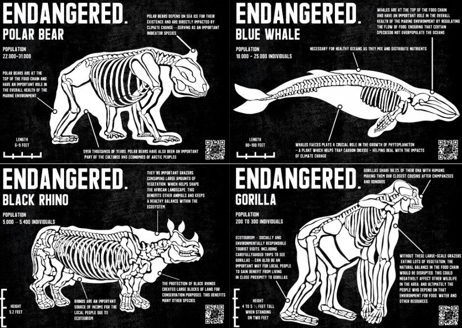 Screenshot 2026-03-05 12.31.01.png