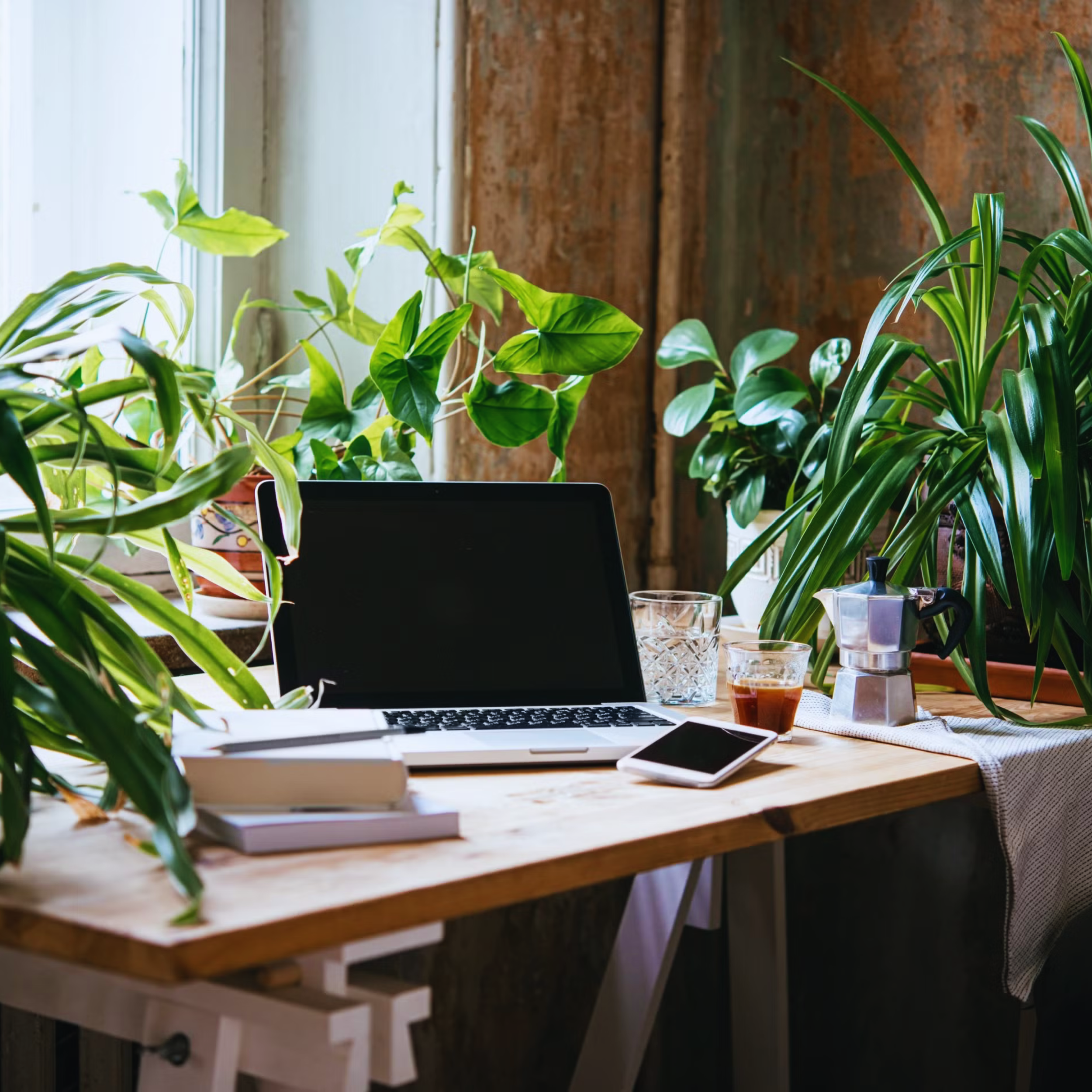 Growth Support (Most Popular)