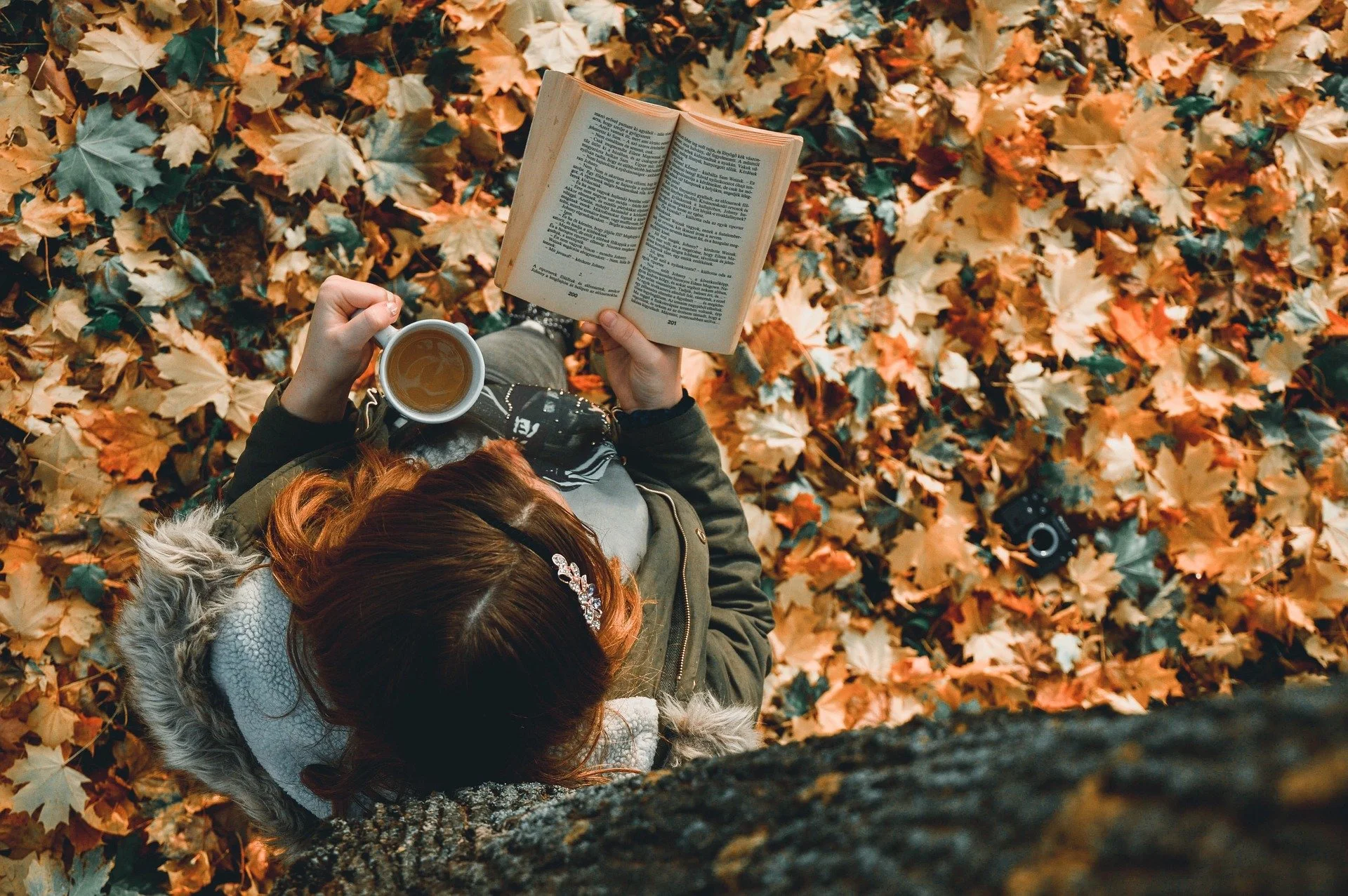 Slow Life im Oktober: Yangsheng-Tipps nach dem Zunsheng Bajian
