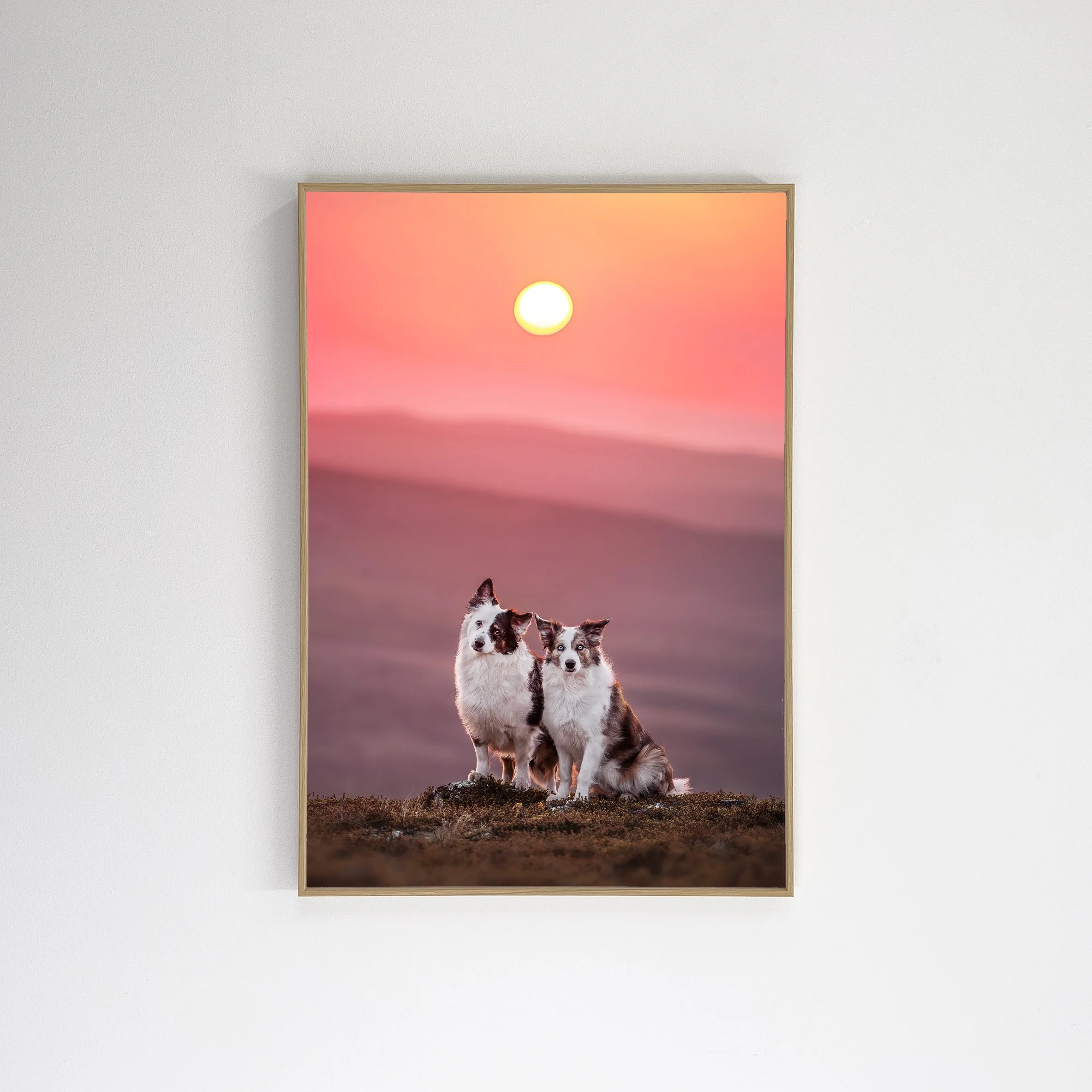 4redmidnightsun-4.jpg