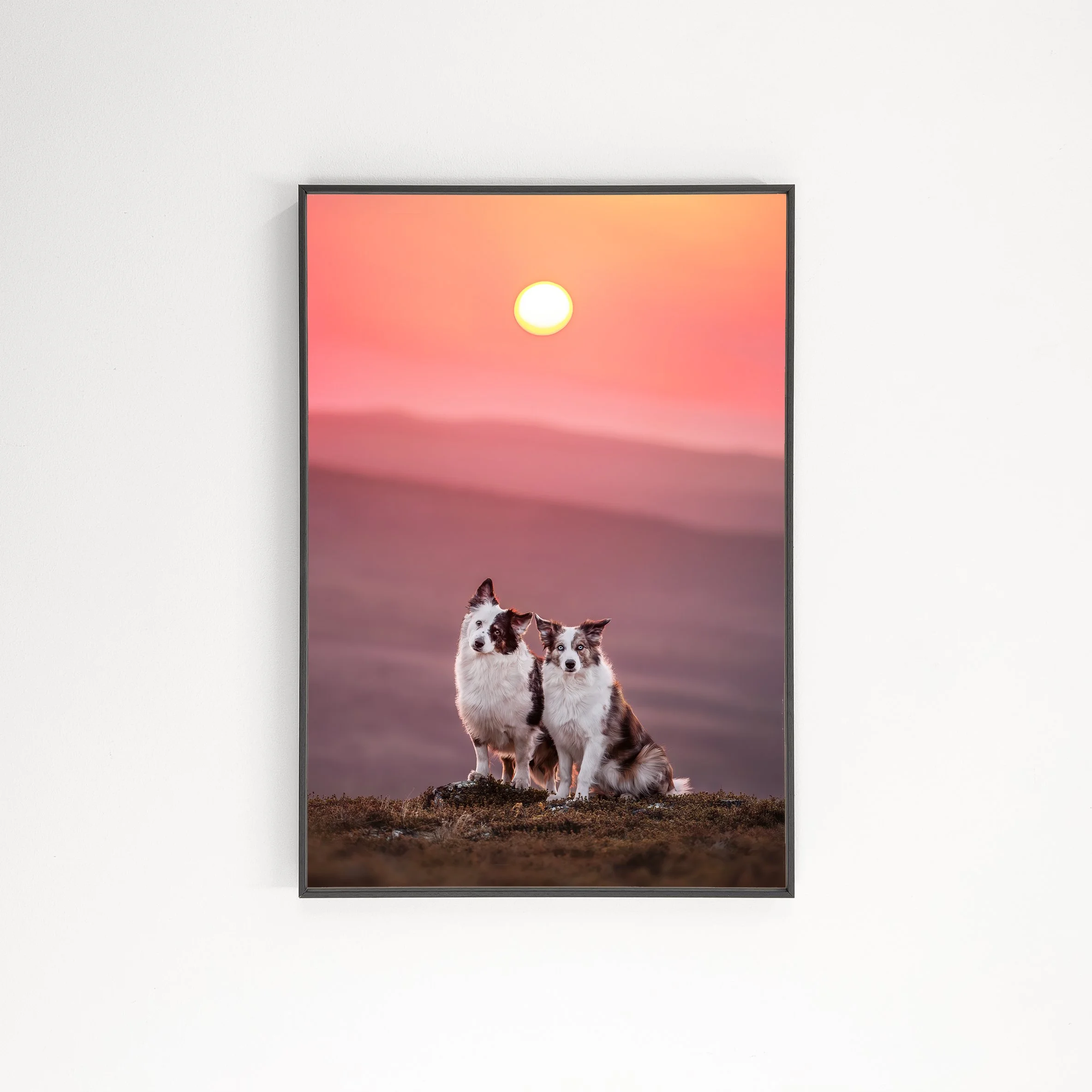 4redmidnightsun-5.jpg