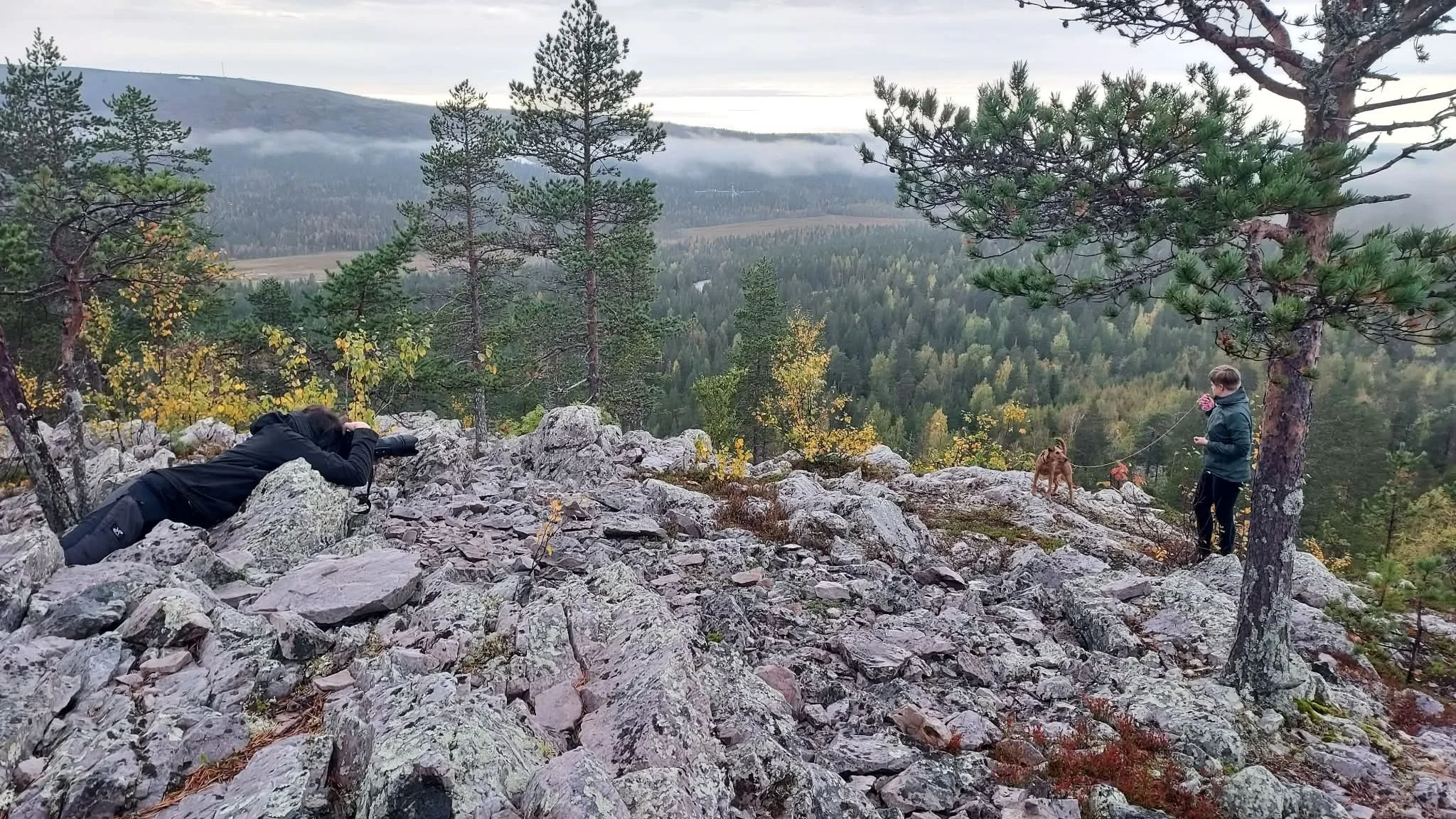 Henkilö ottaa valokuvan metsikköä ja vuoristoa takana, kaksi muuta ihmistä ja koira metsässä