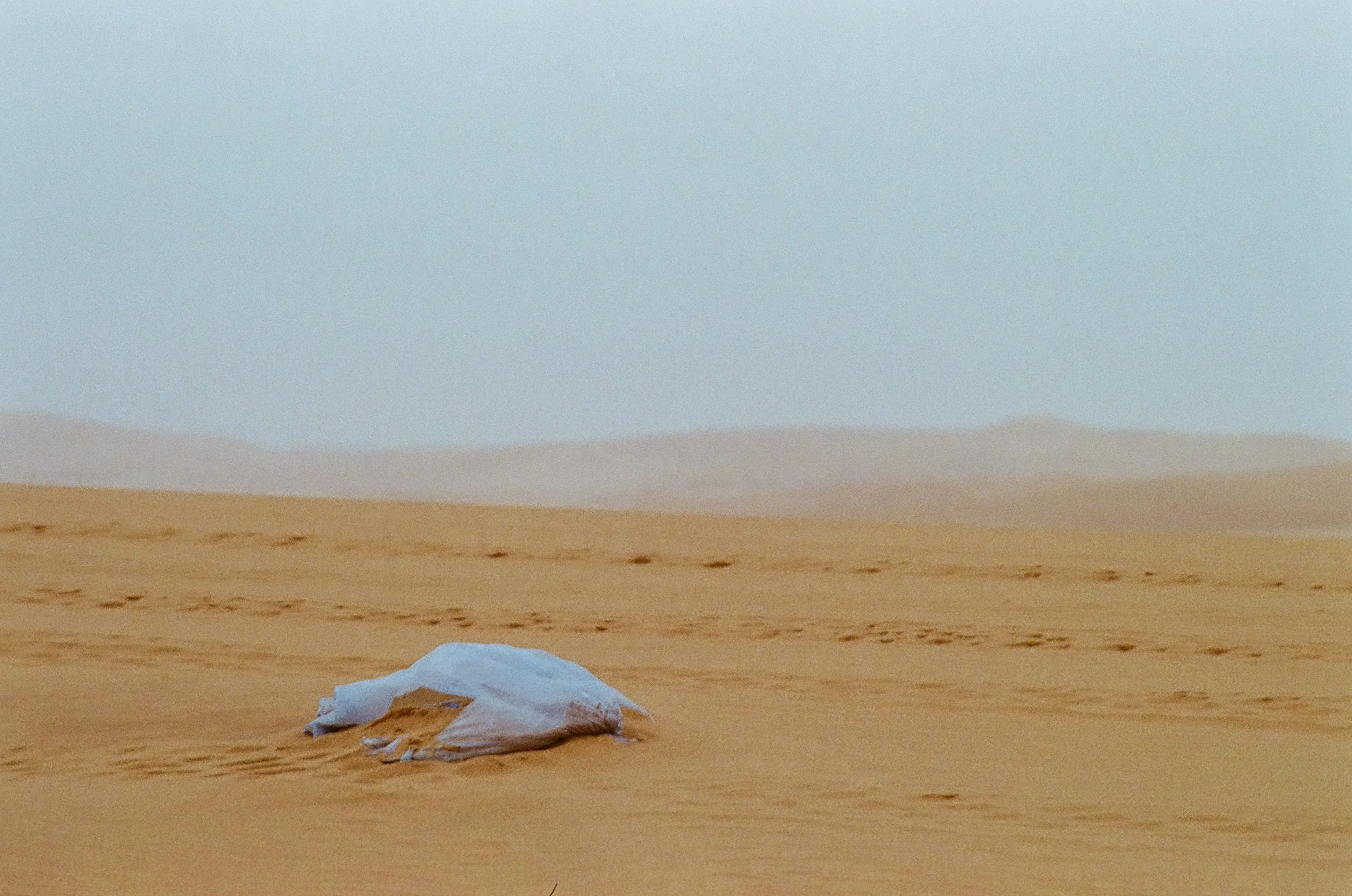 Eastern Province, 2025