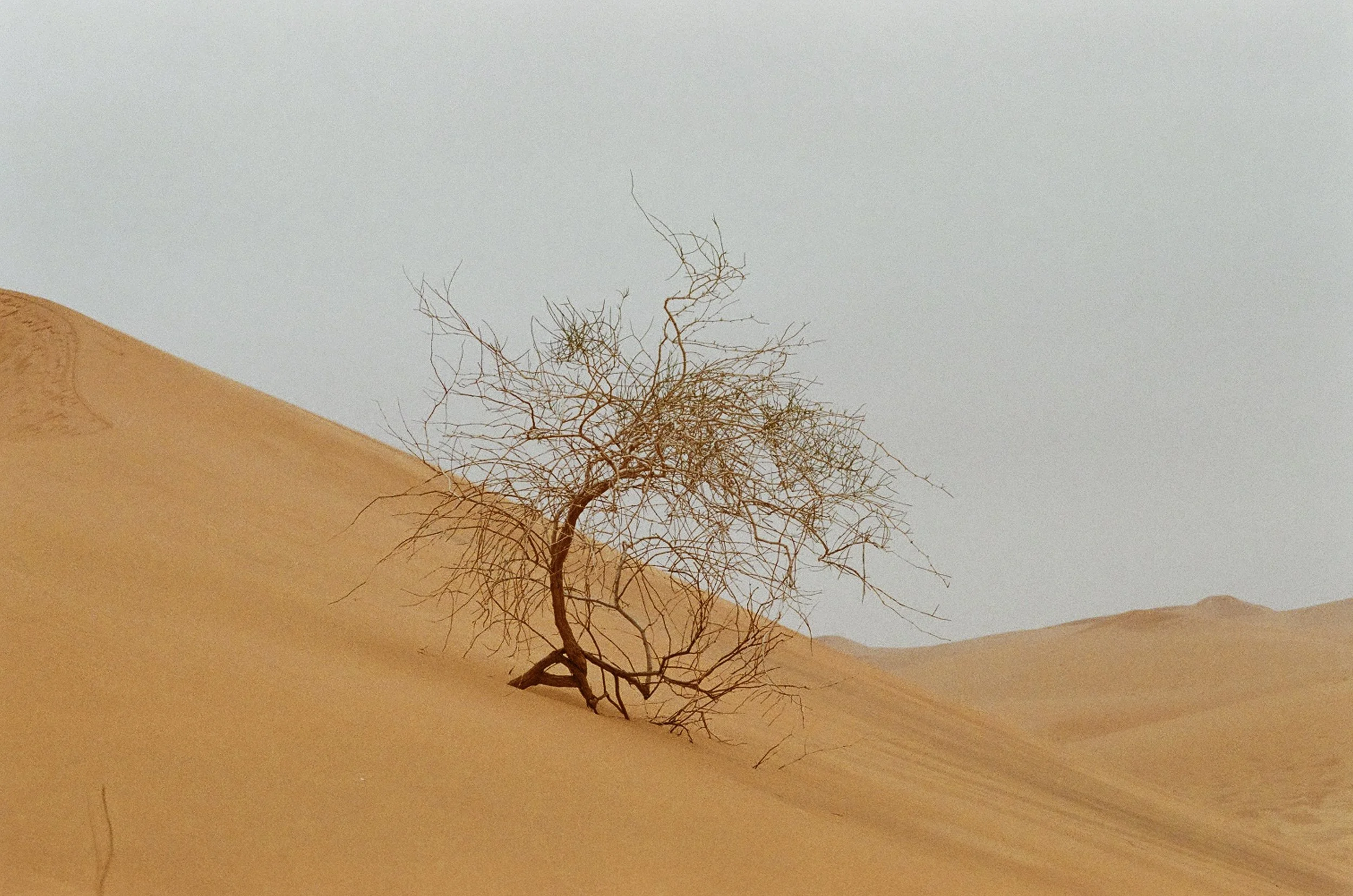 Eastern Province, 2025
